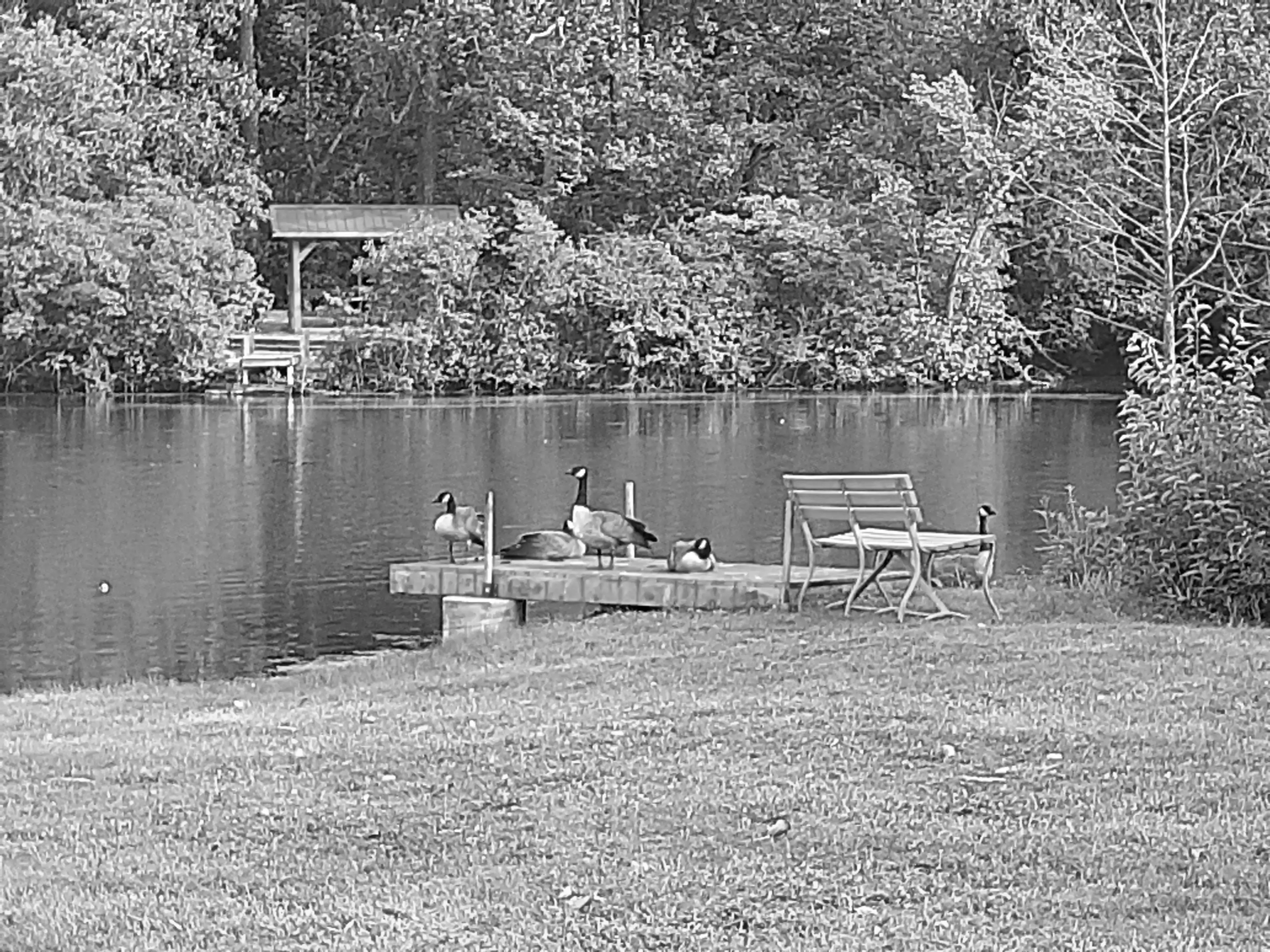 Best Lake Camelot Campgrounds