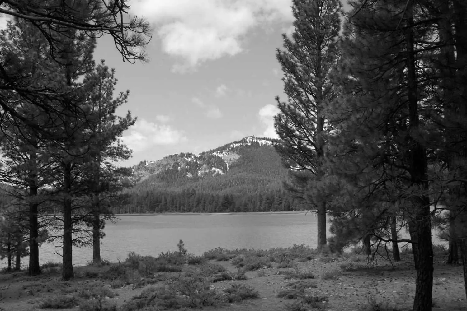 Best Lake Davis Campgrounds