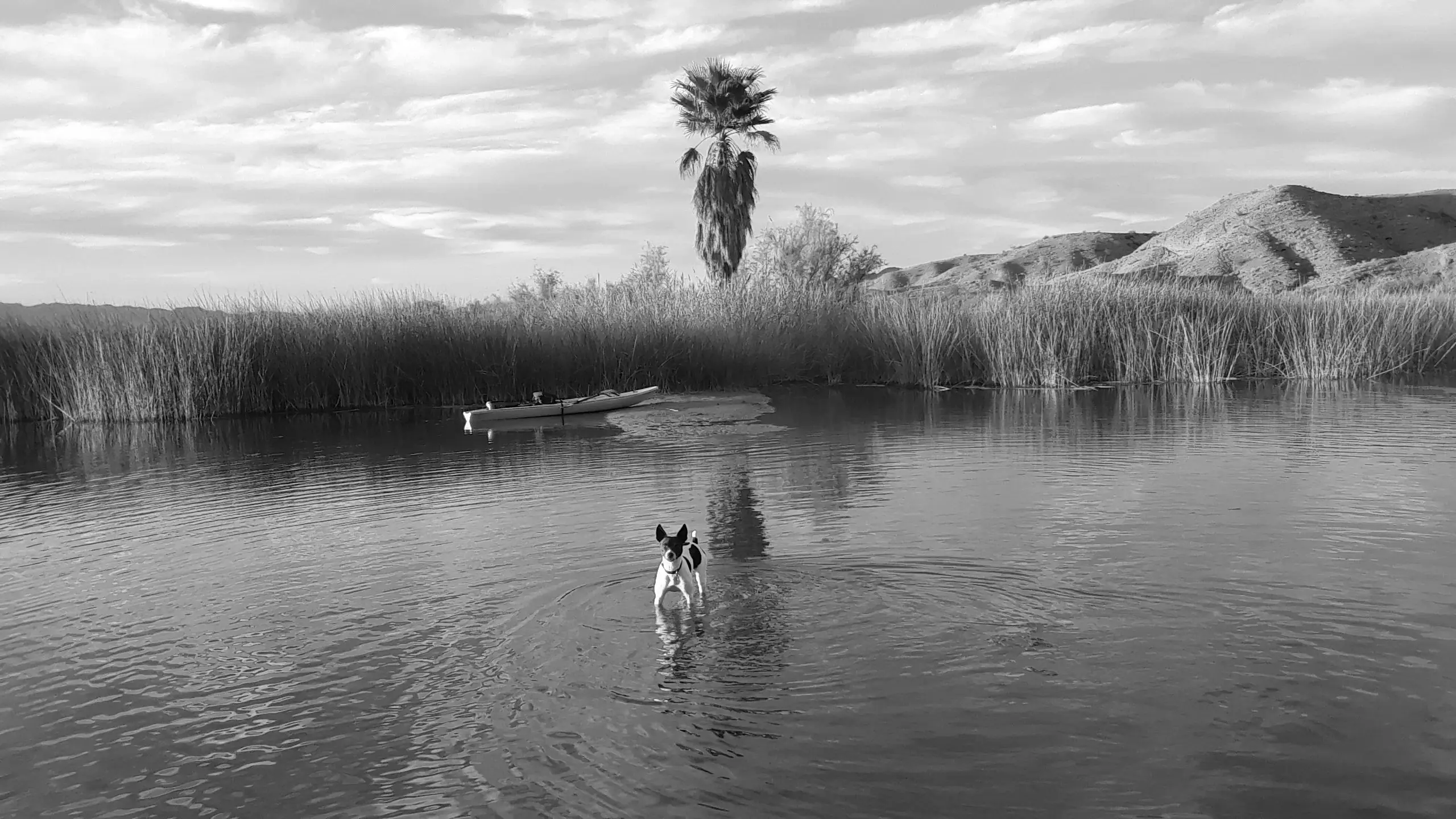 Best Lake Havasu City Campgrounds
