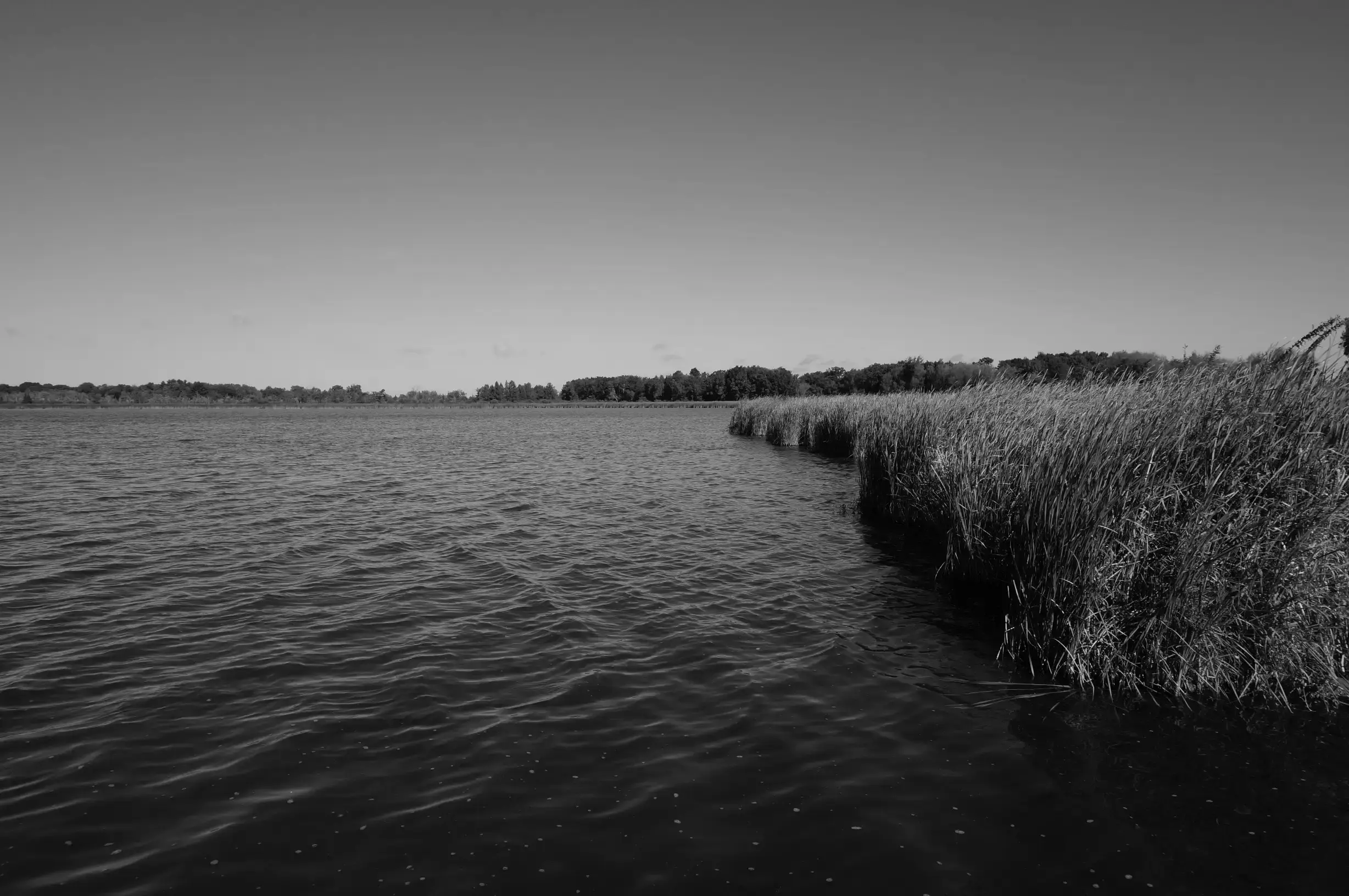 Best Lake Mills Campgrounds