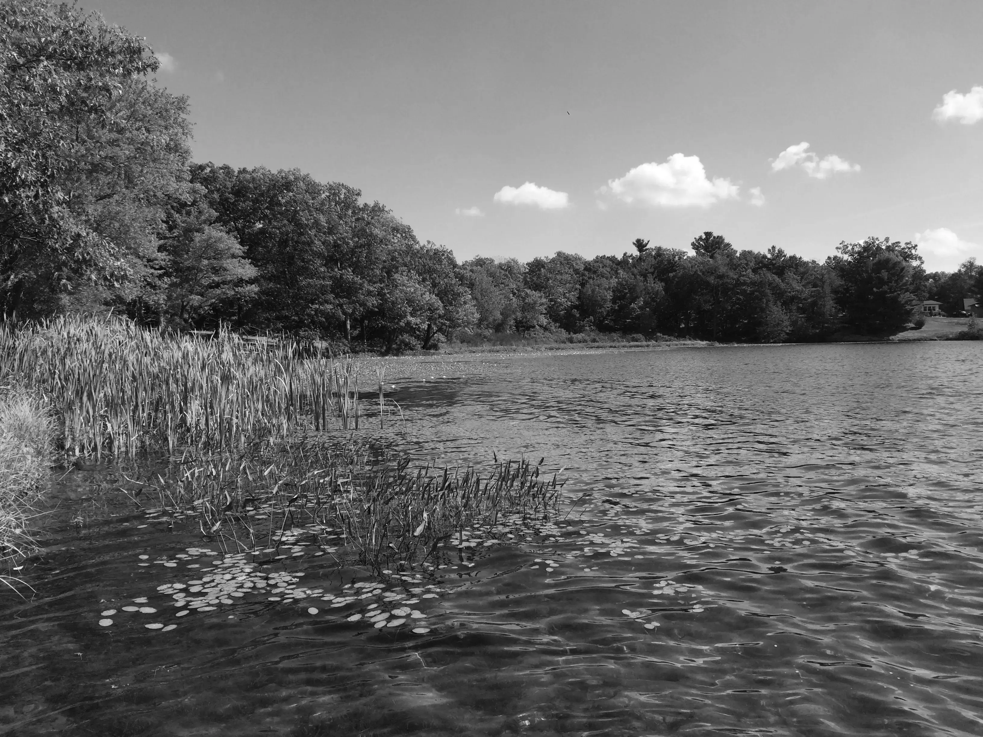 Best Lake Tanglewood Campgrounds