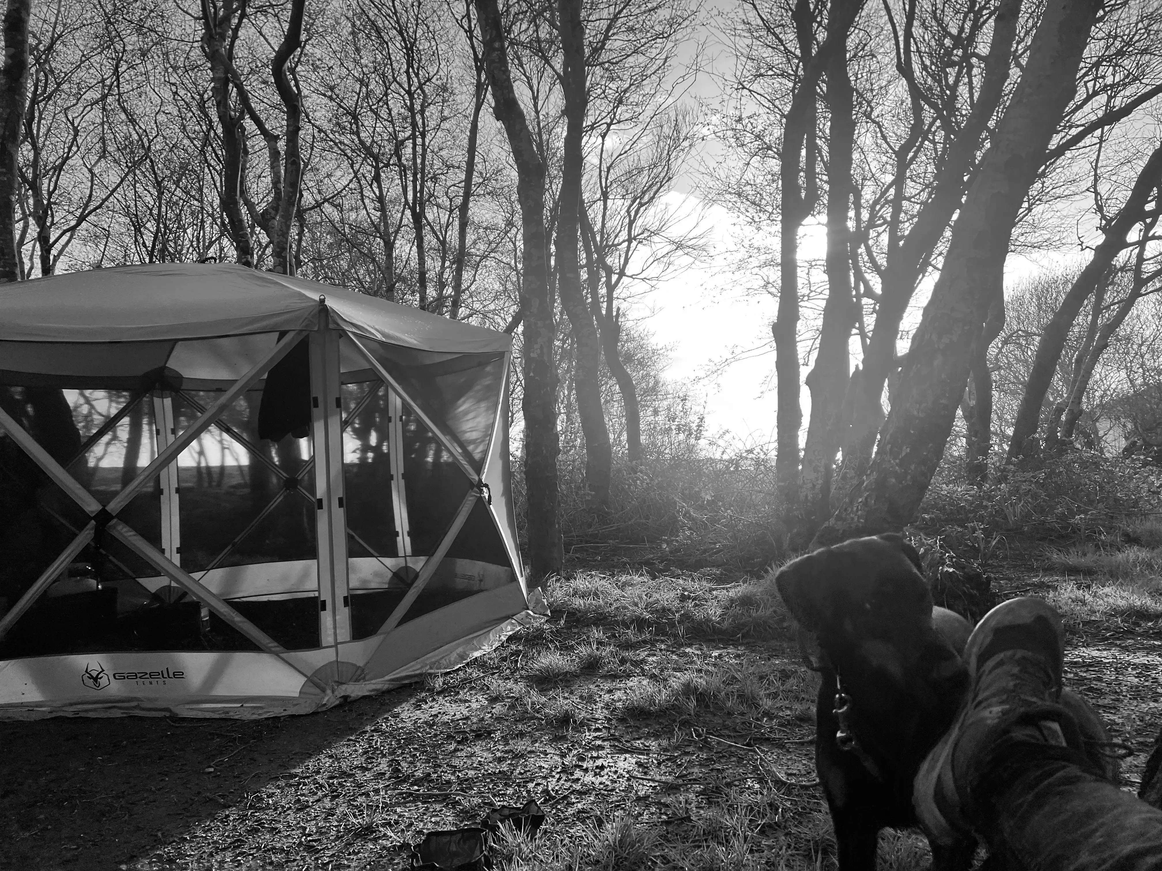 Best Leggett Campgrounds
