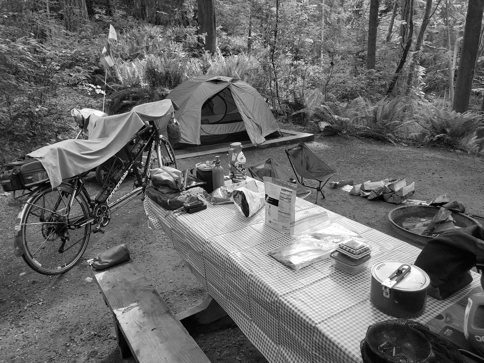 Best Long Branch Campgrounds