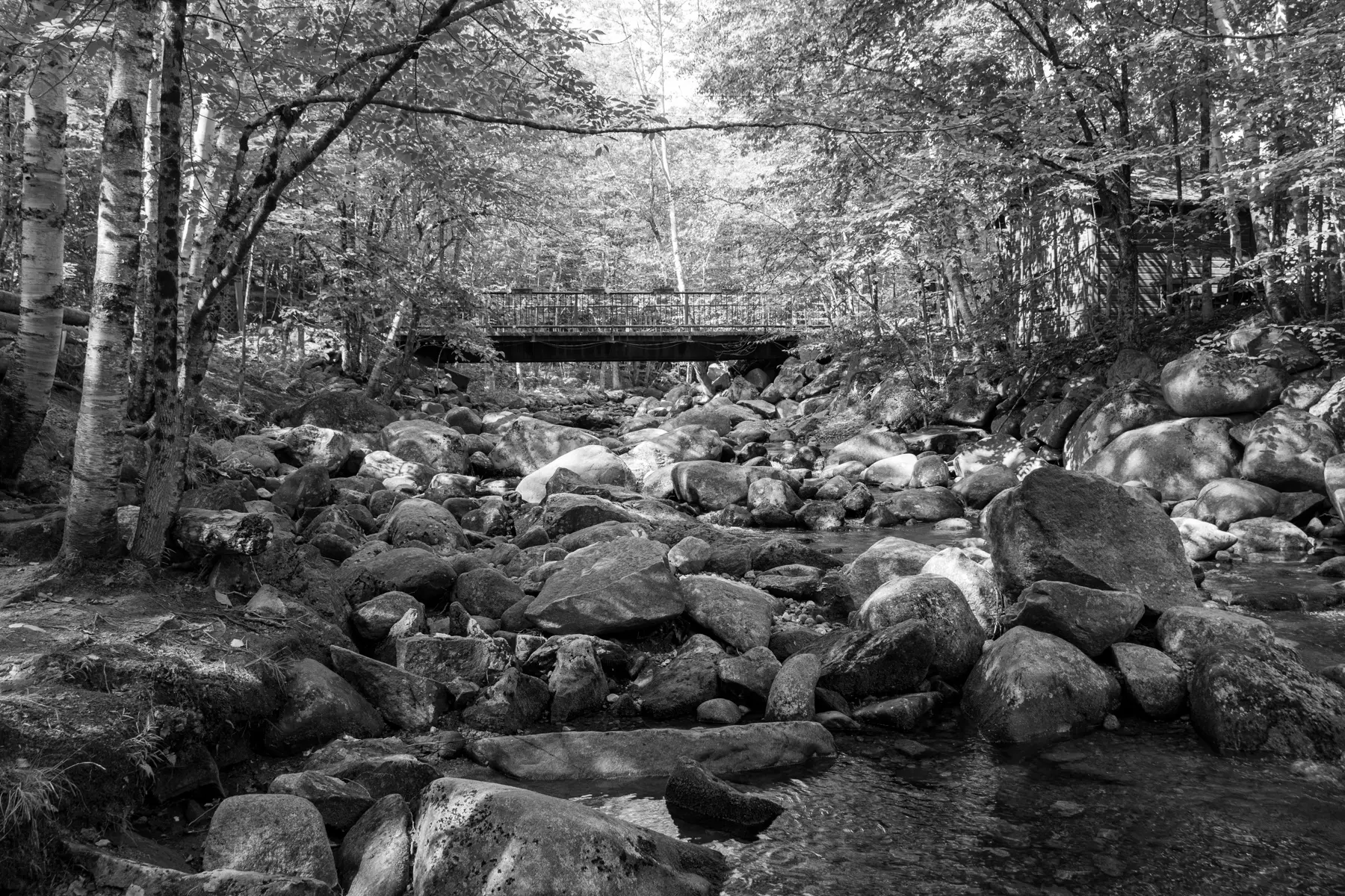 Best Lost River Campgrounds