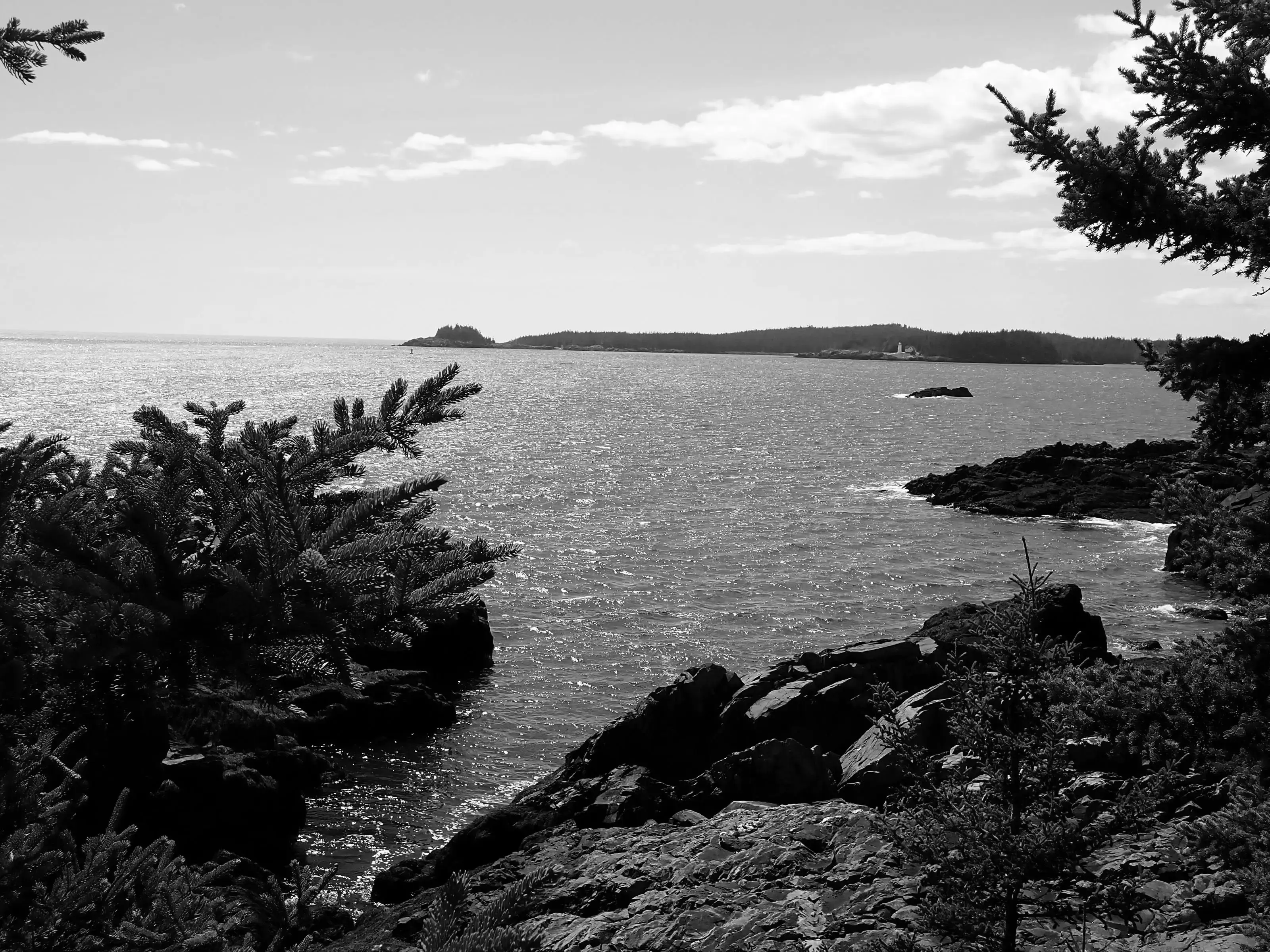 Best Lubec Campgrounds