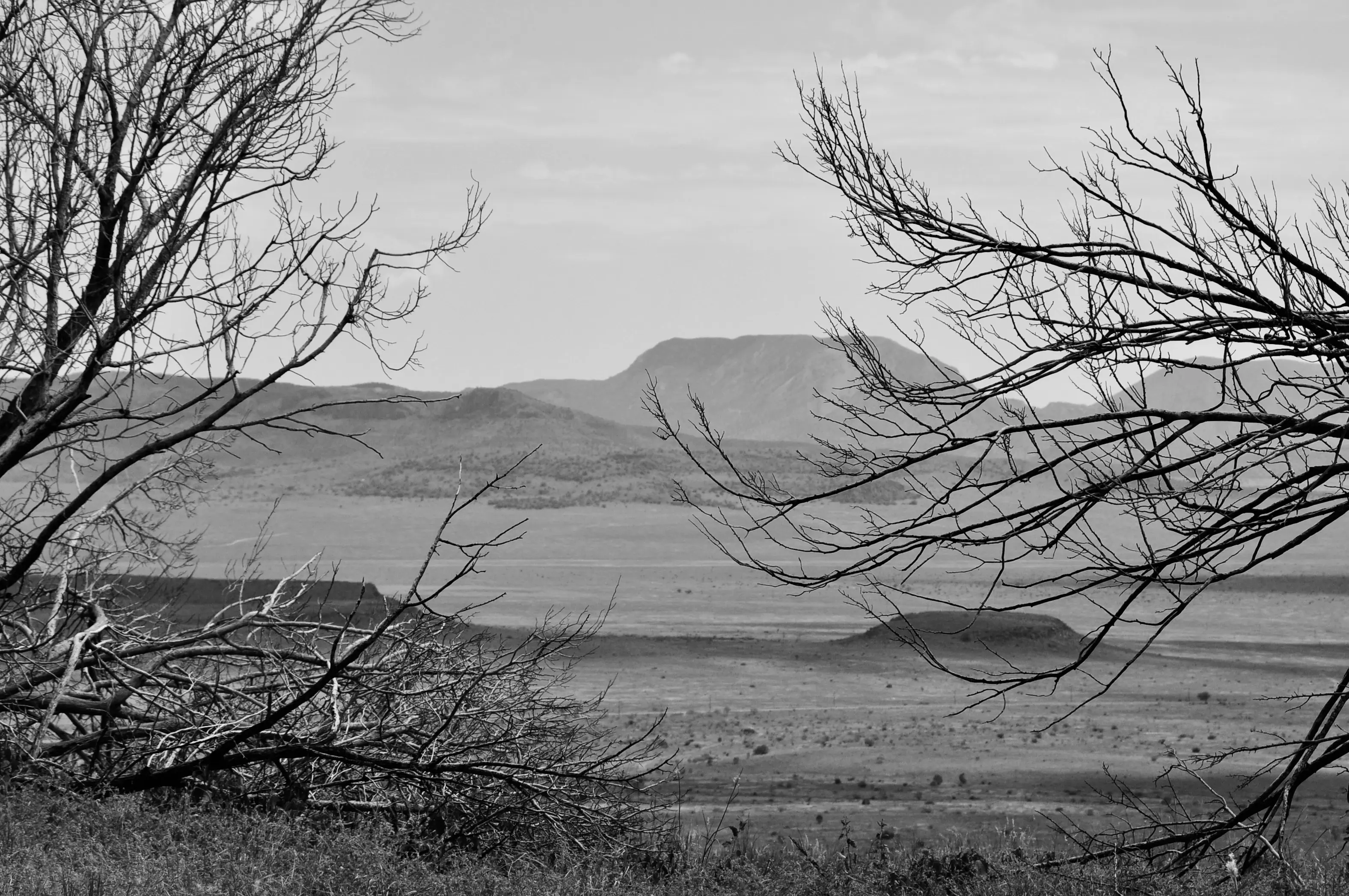 Best Marfa Campgrounds