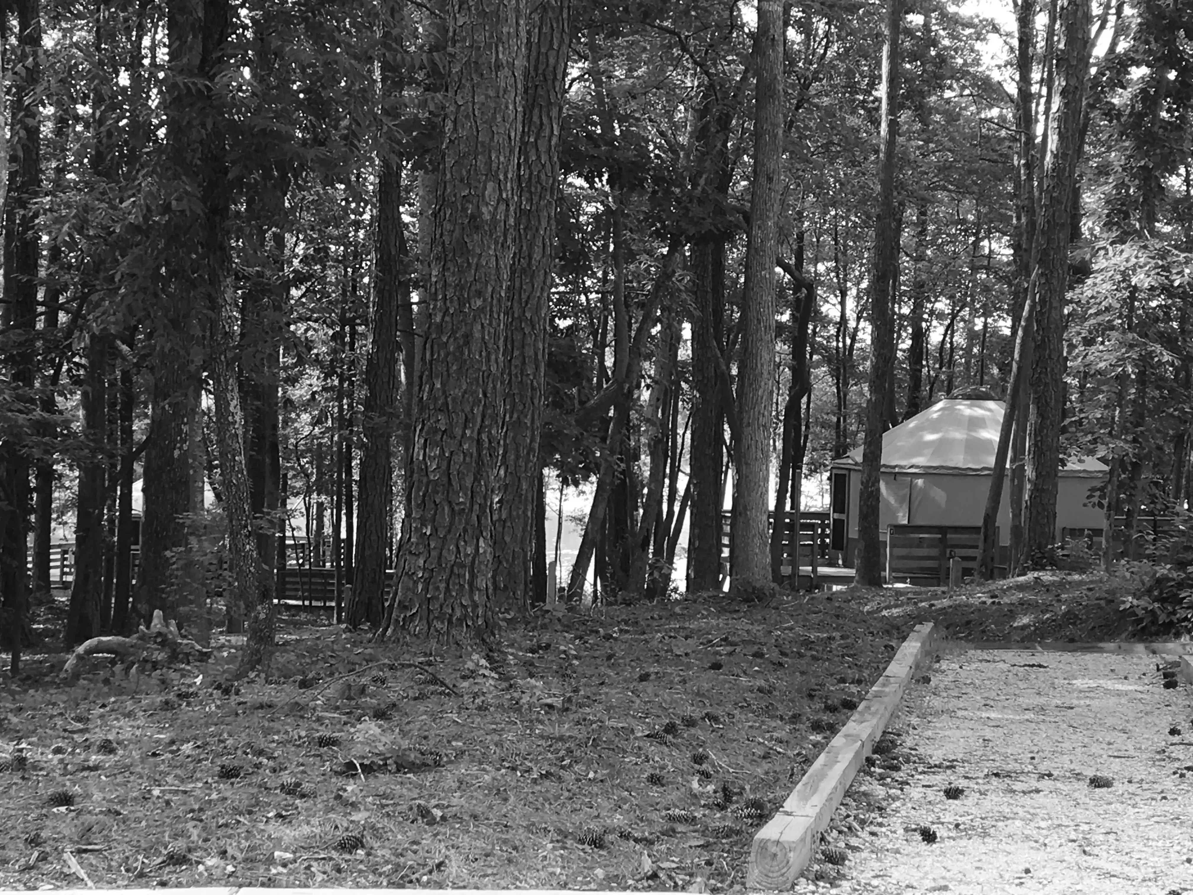 Best Marietta Campgrounds
