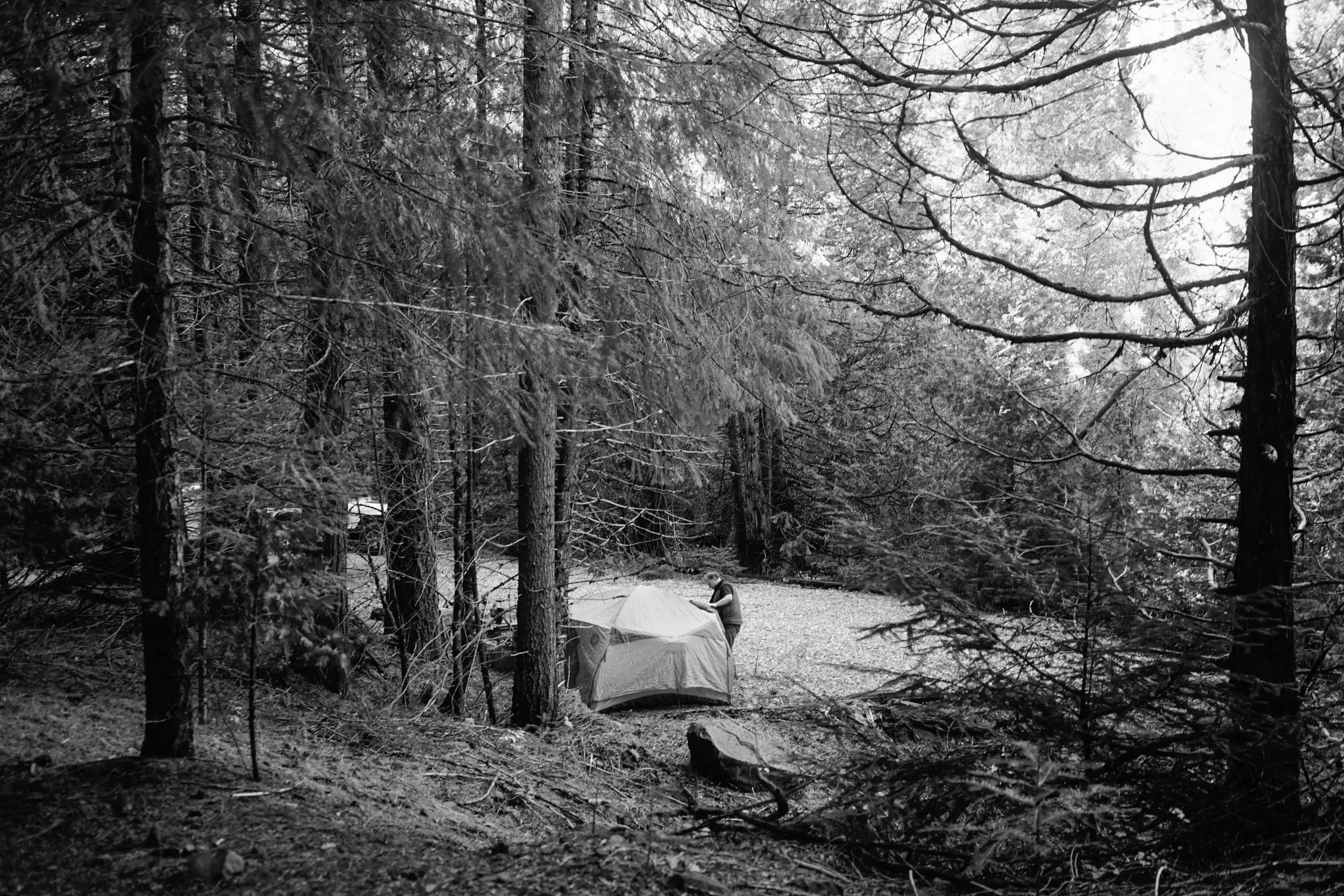 Best Markleeville Campgrounds