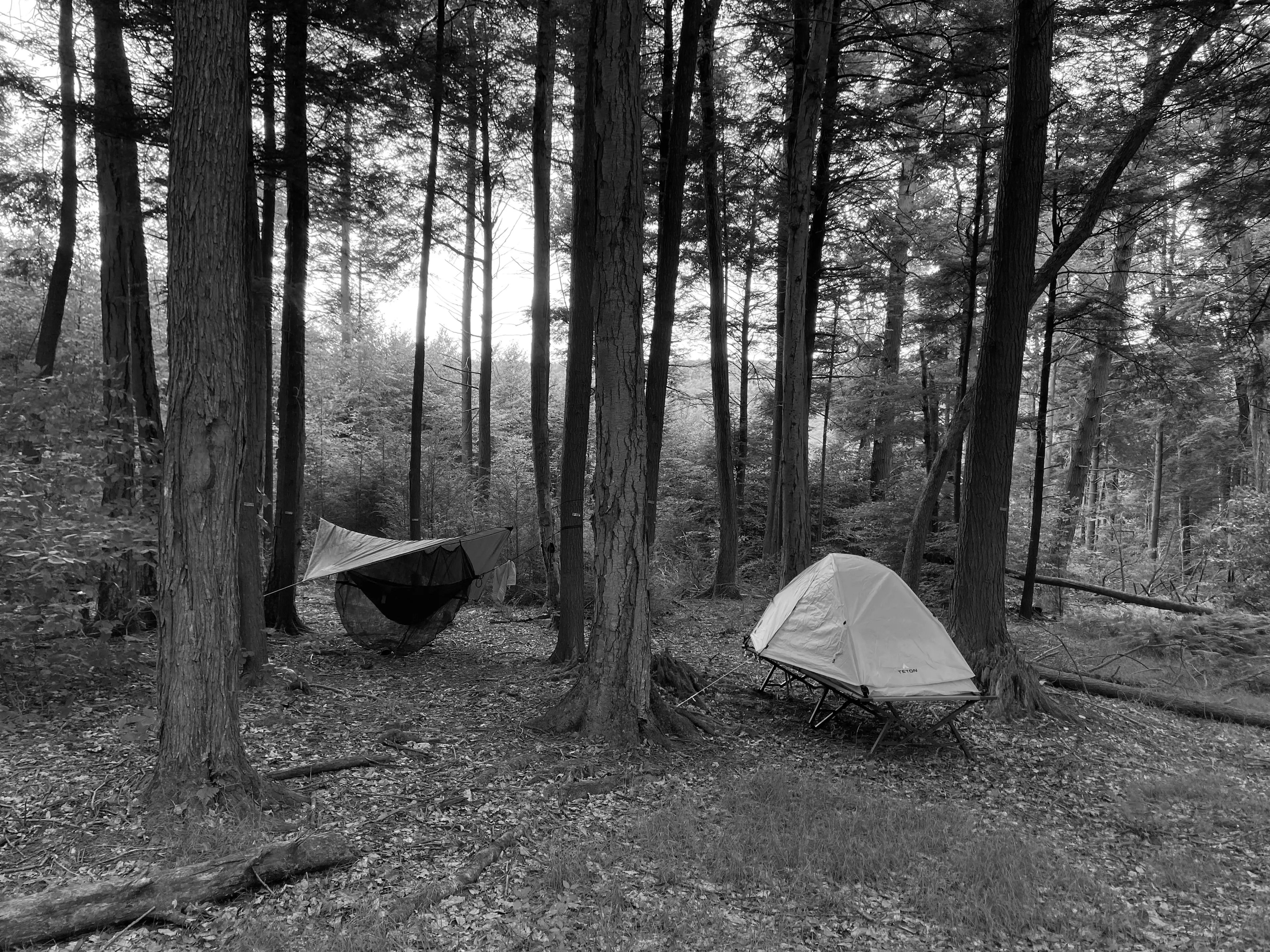 Best Maryland Campgrounds