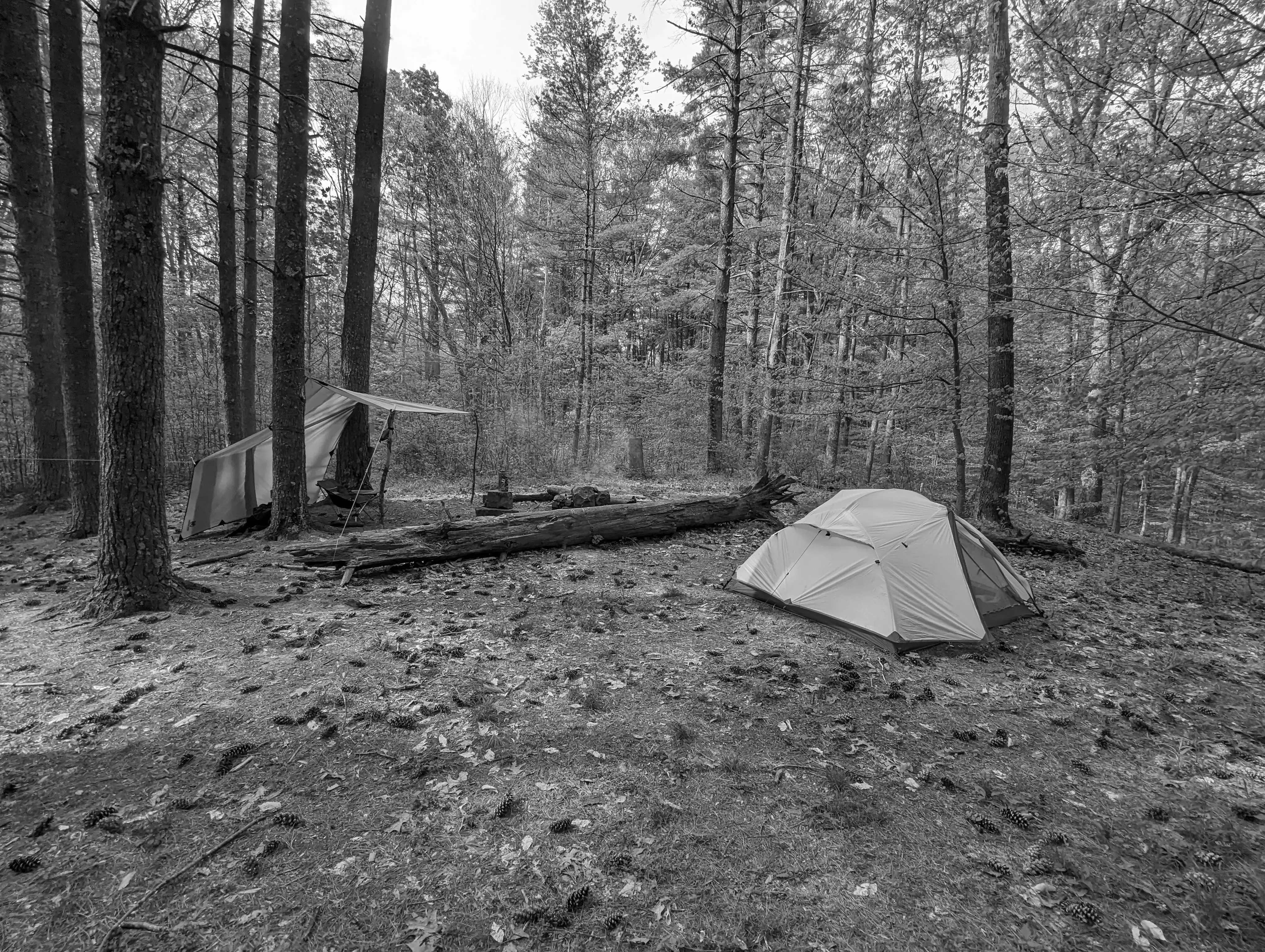 Best Mooresville Campgrounds