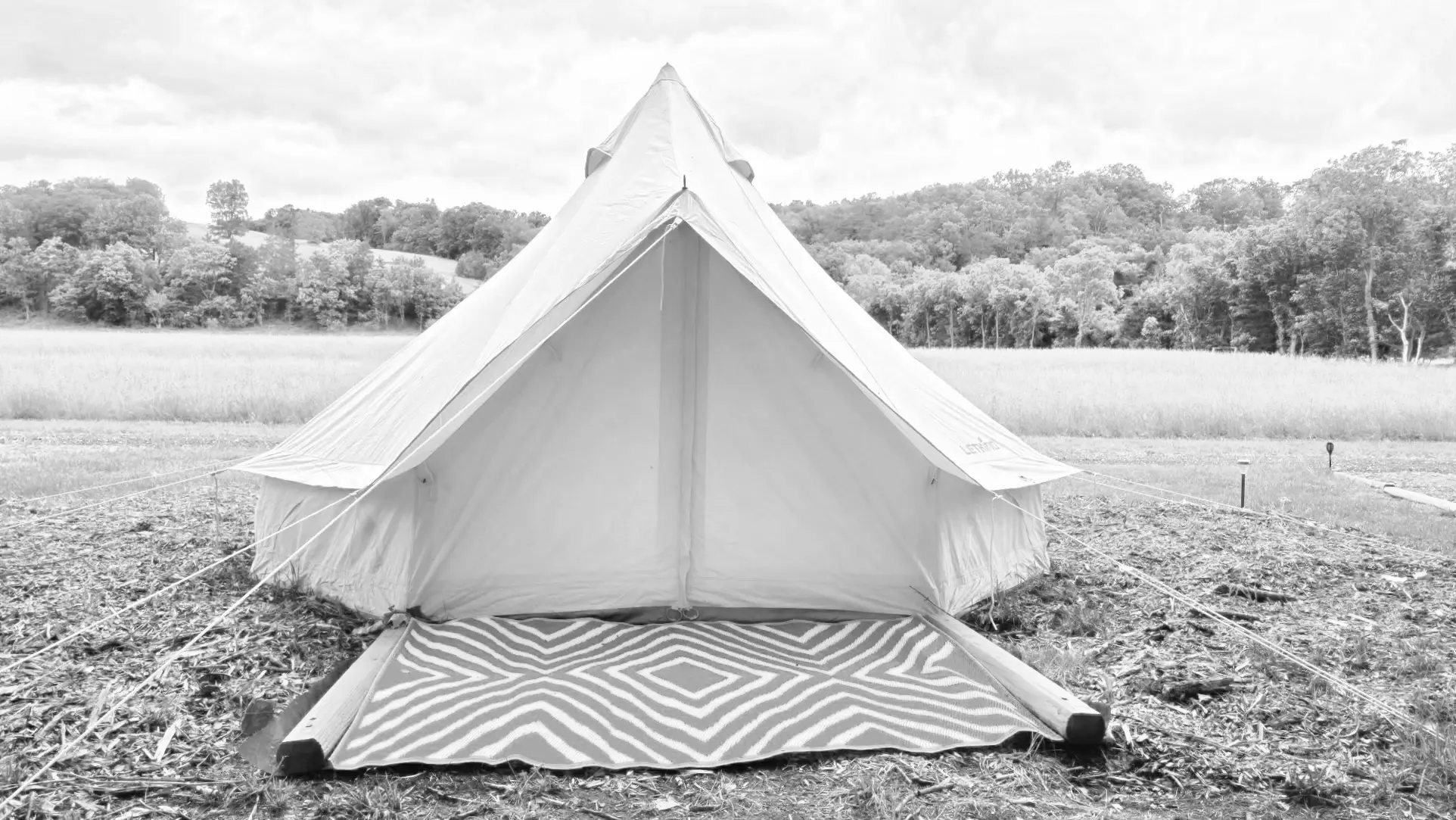 Best Mount Jackson Campgrounds