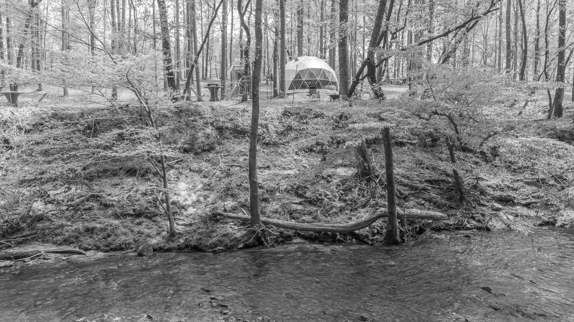 Best Natural Bridge Campgrounds