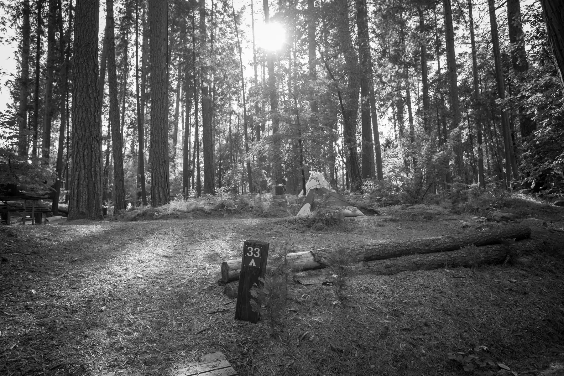 Best Nevada City Campgrounds