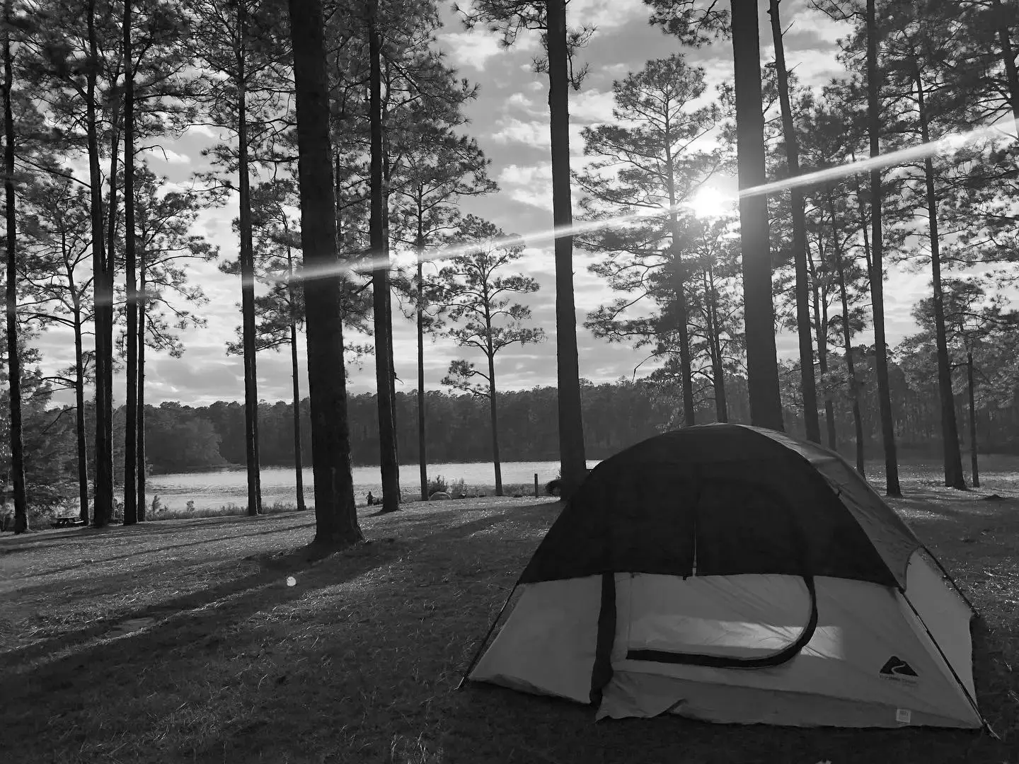 Best Niceville Campgrounds