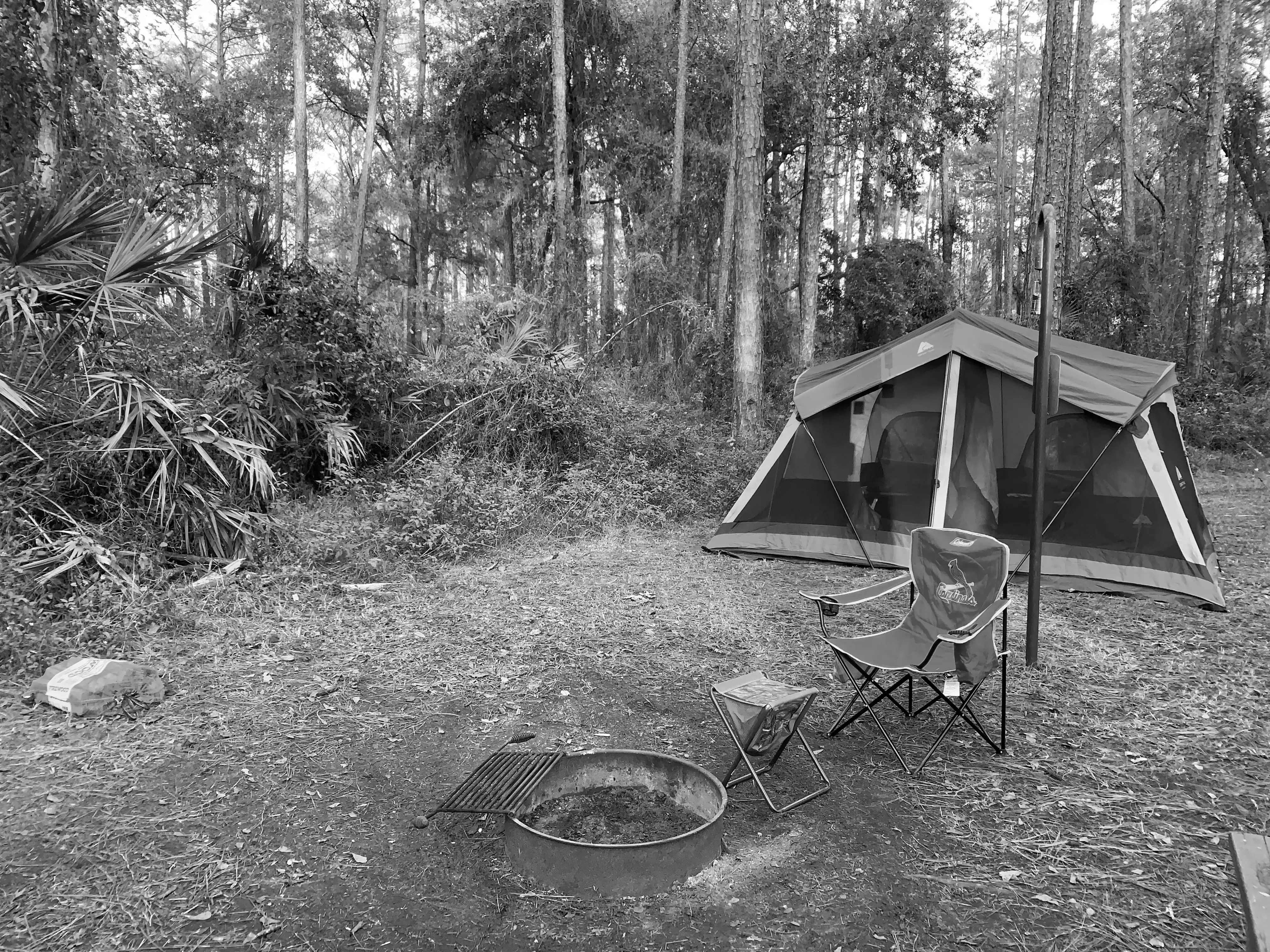 Best Palatka Campgrounds