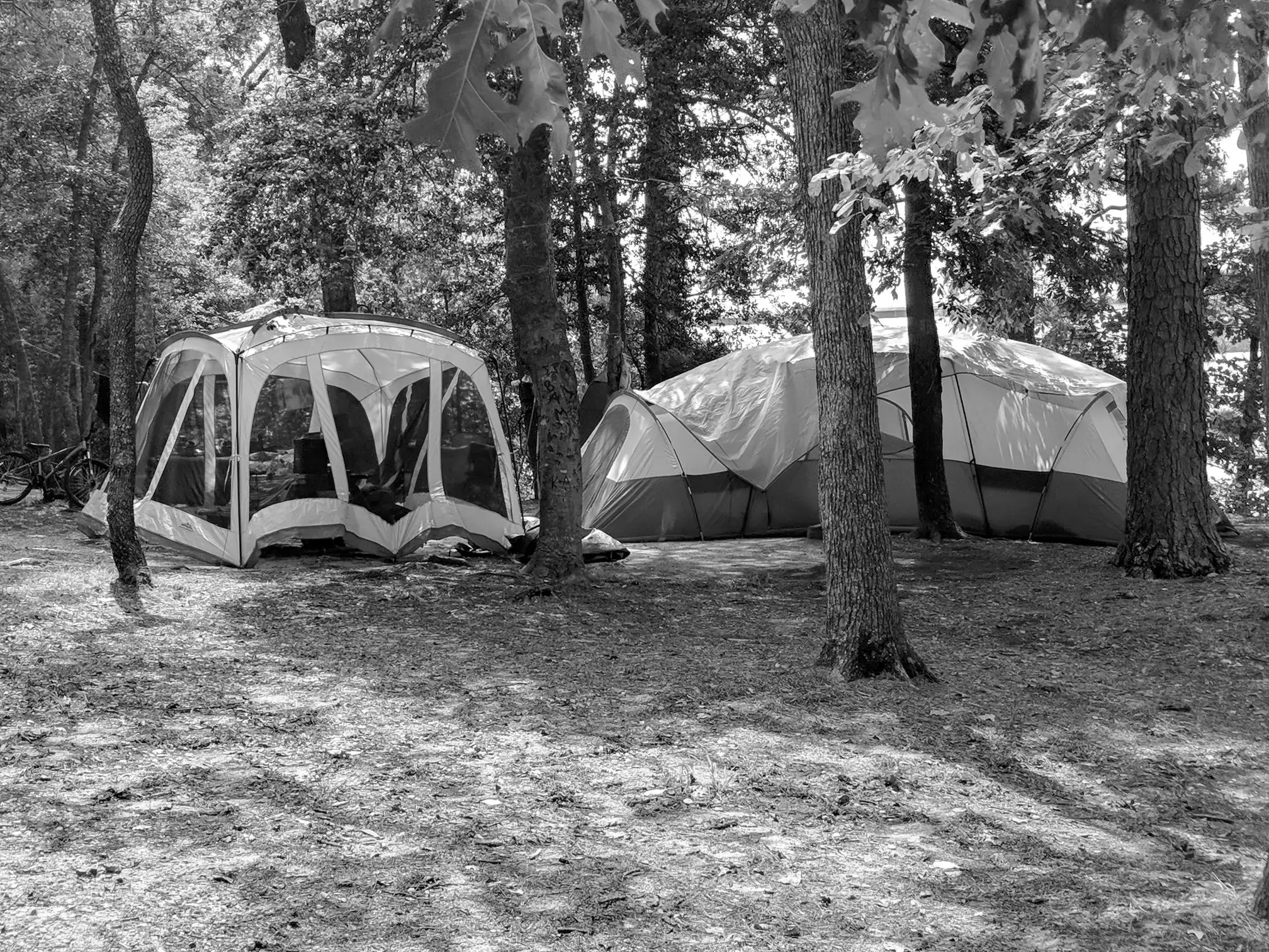 Best Petersburg Campgrounds