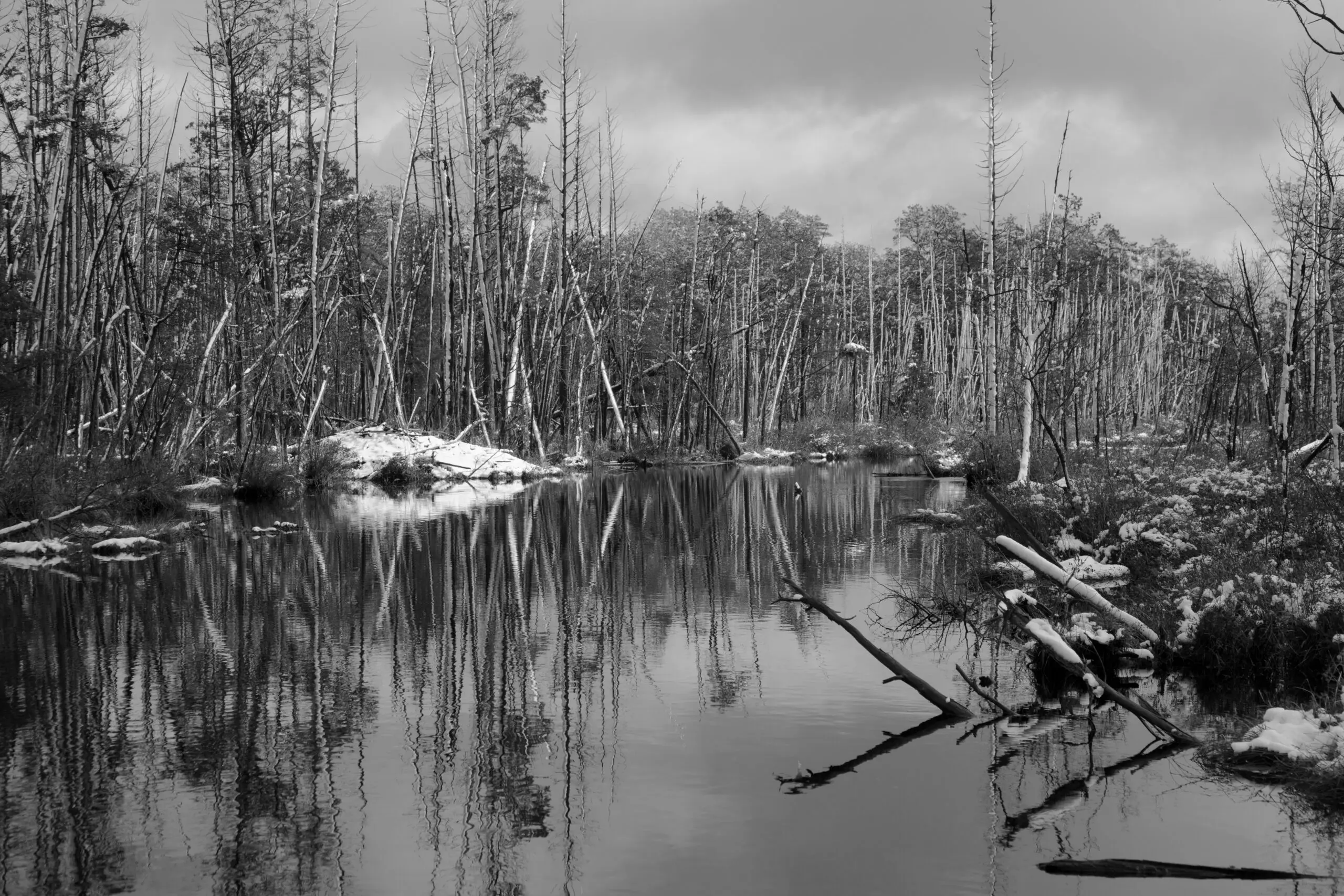 Best Pine Barrens Campgrounds