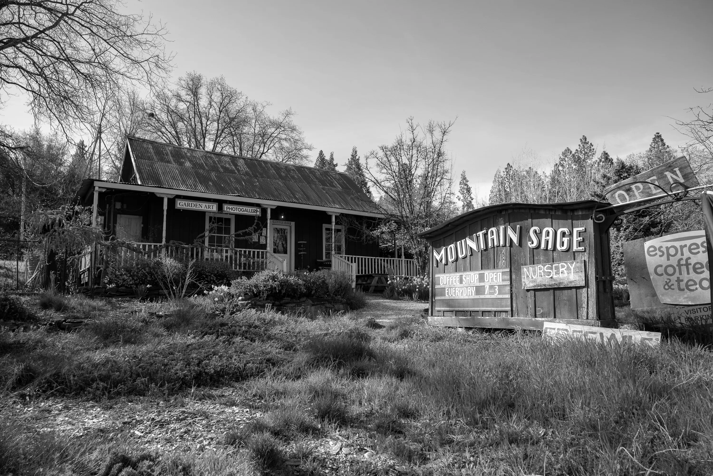 Best Pine Mountain Lake Campgrounds