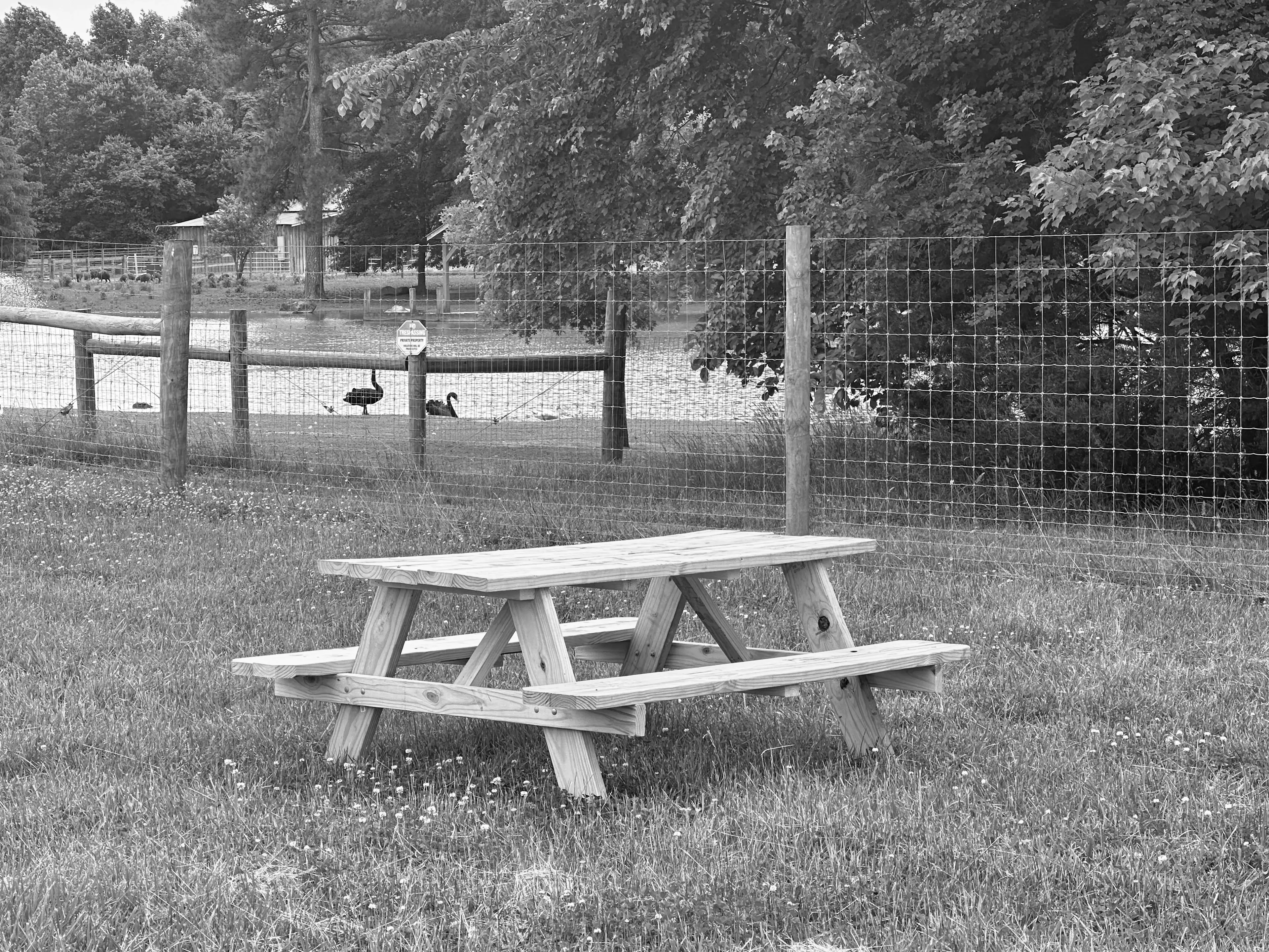 Best Pinehurst Campgrounds