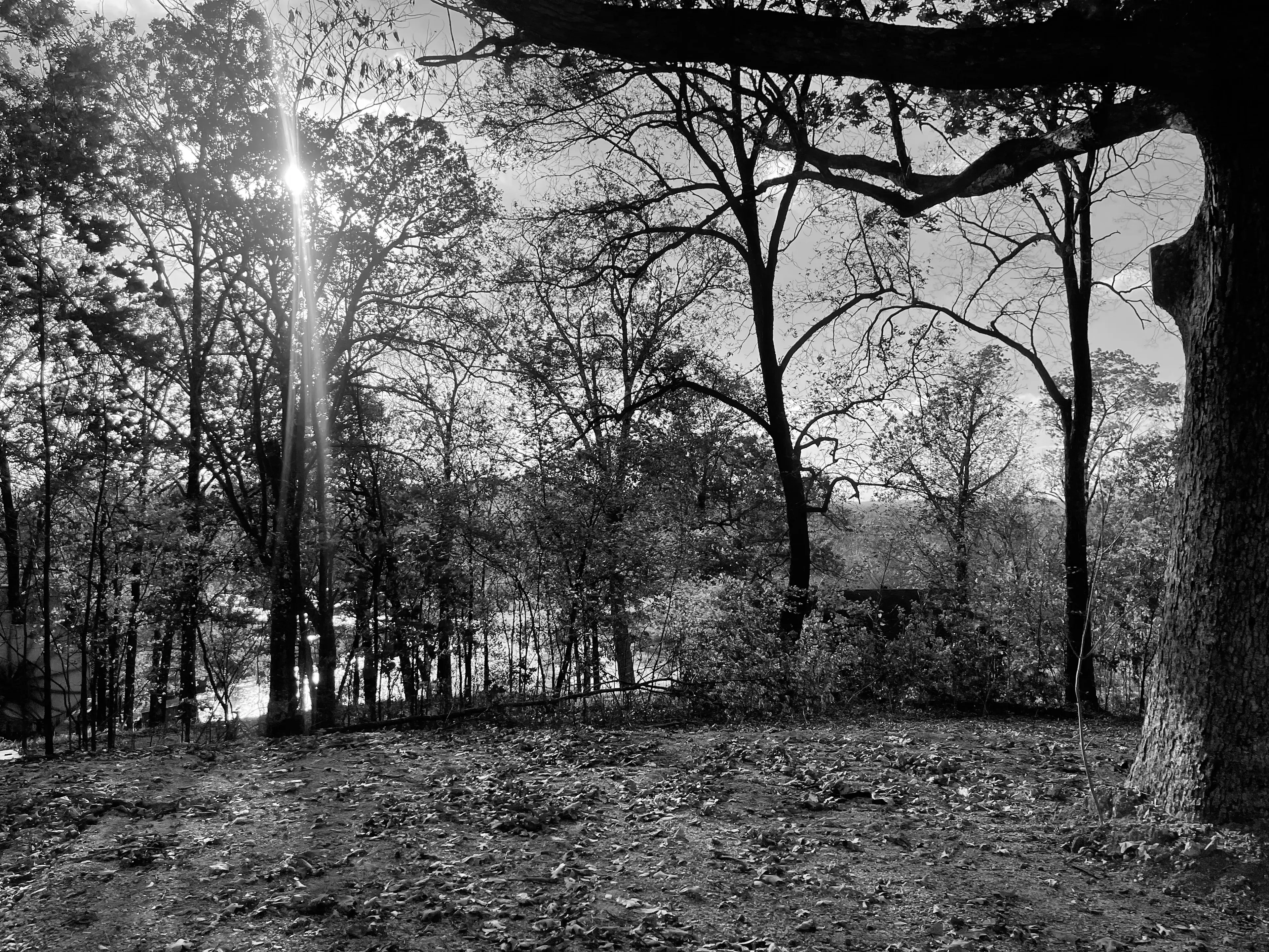 Best Poplar Bluff Campgrounds