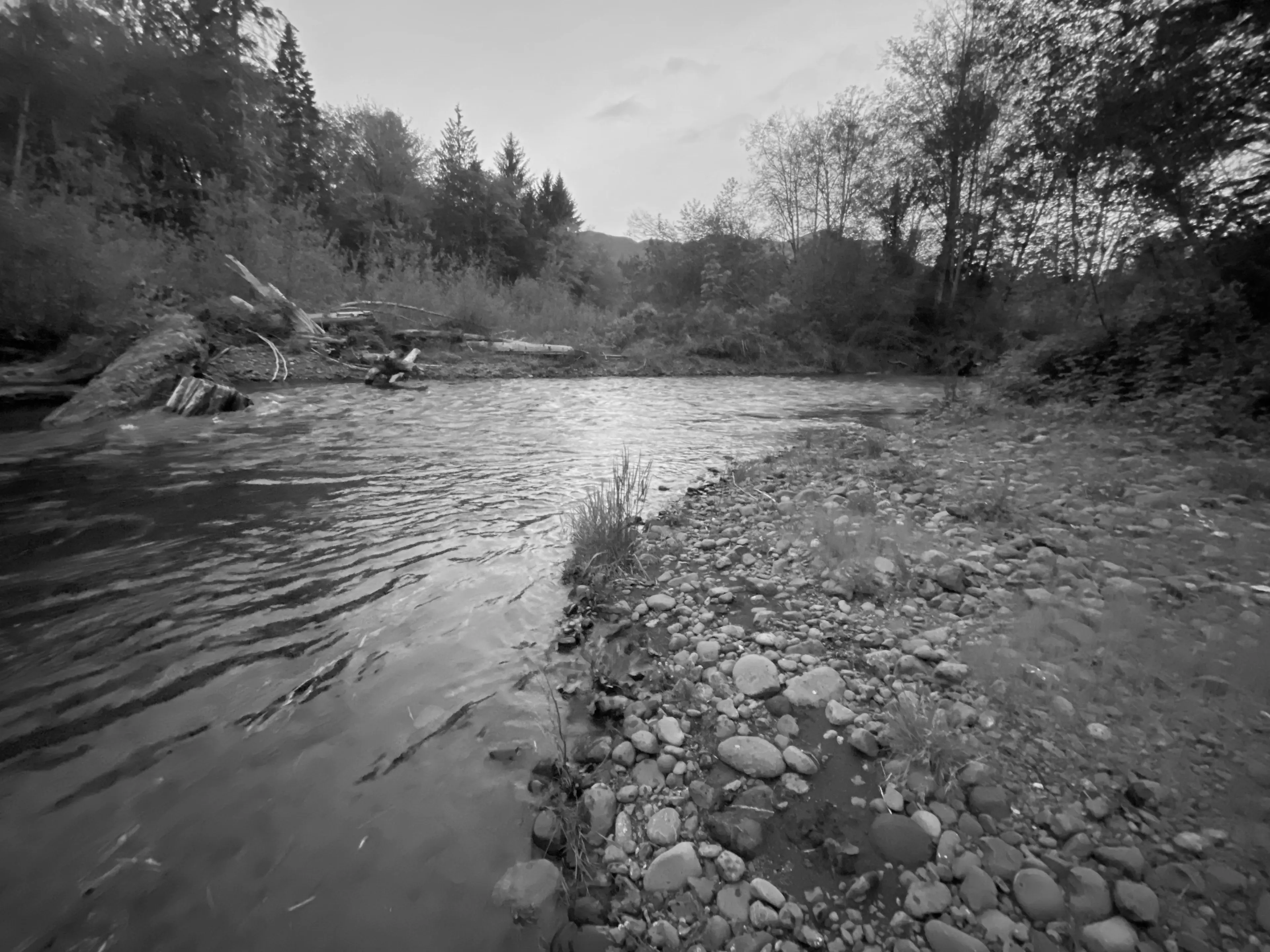 Best Poulsbo Campgrounds