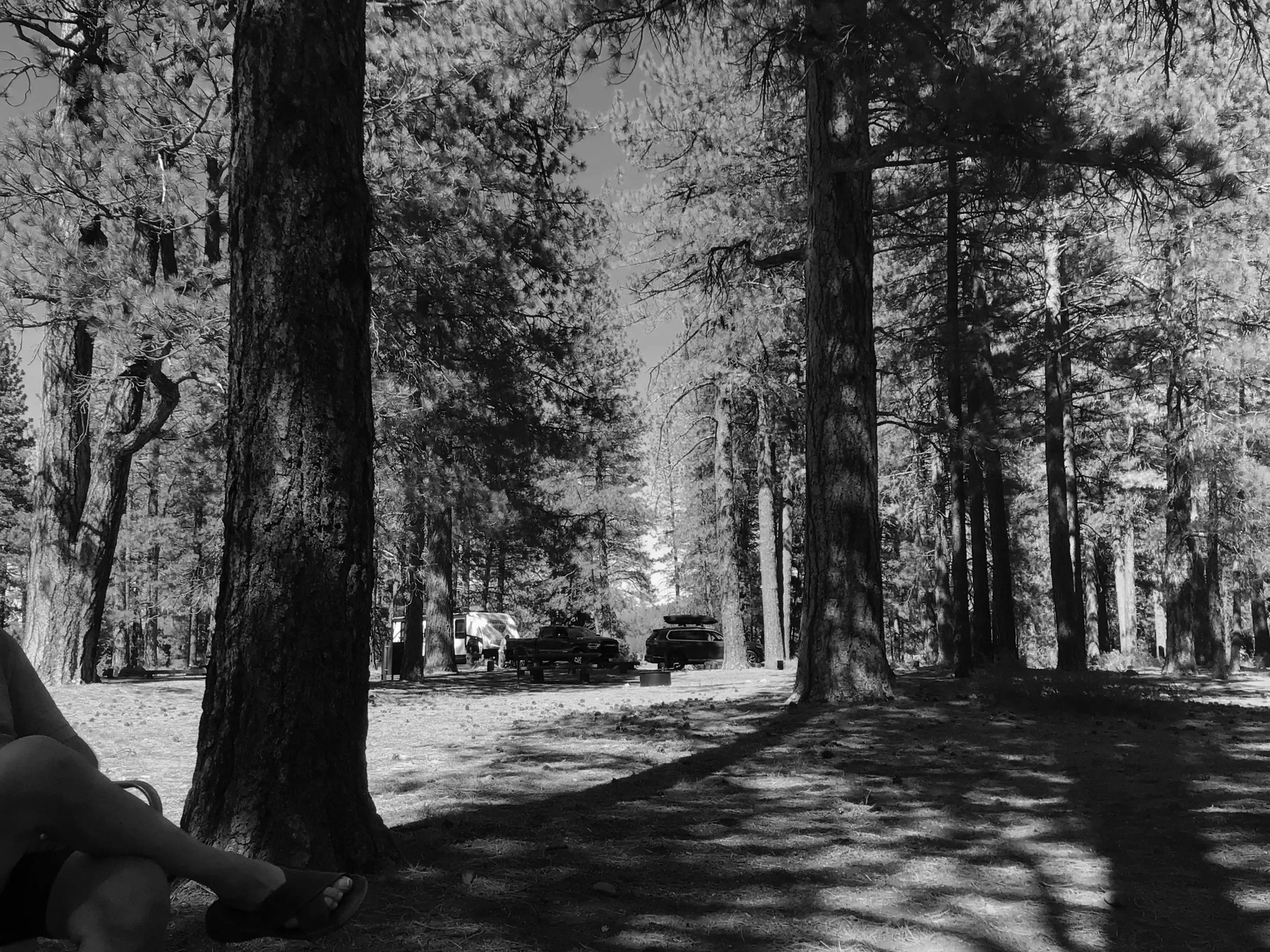 Best Prosser Campgrounds