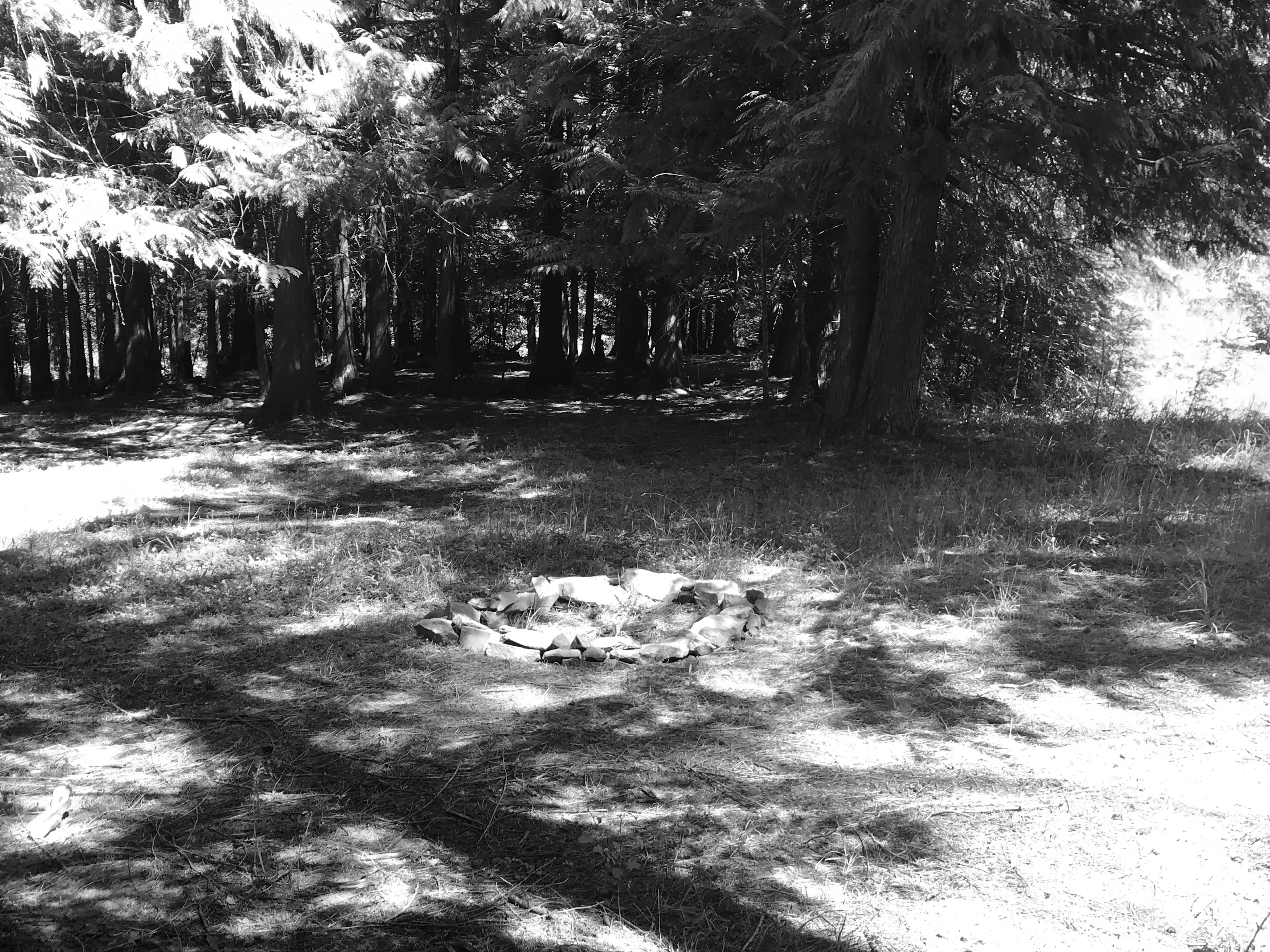Best Pullman Campgrounds