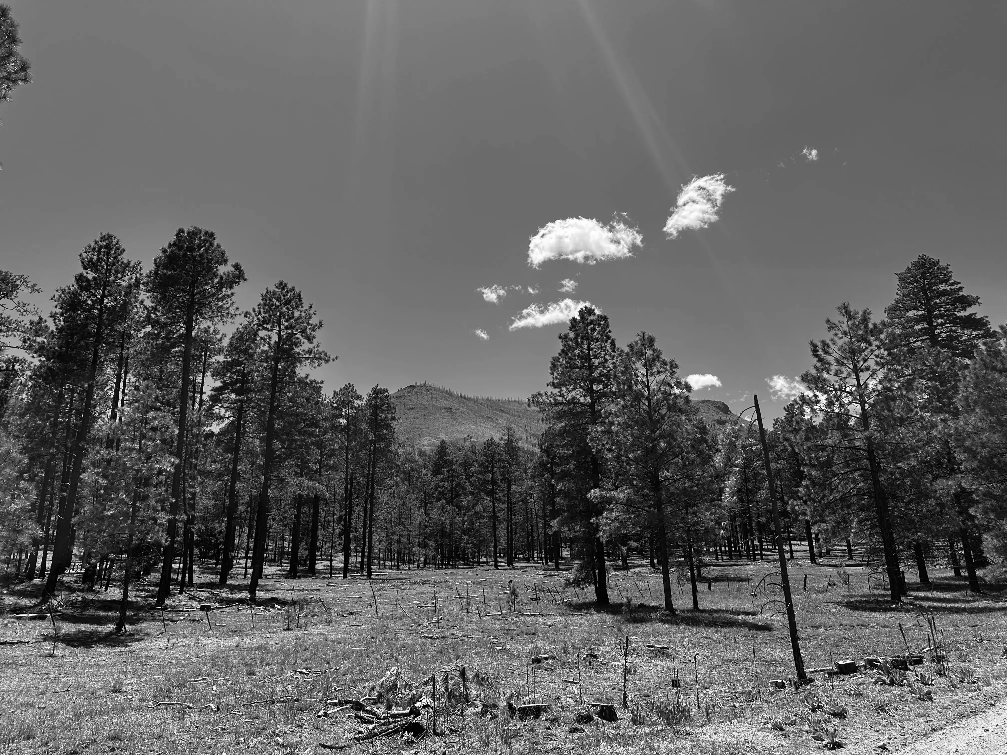 Best Quemado Campgrounds