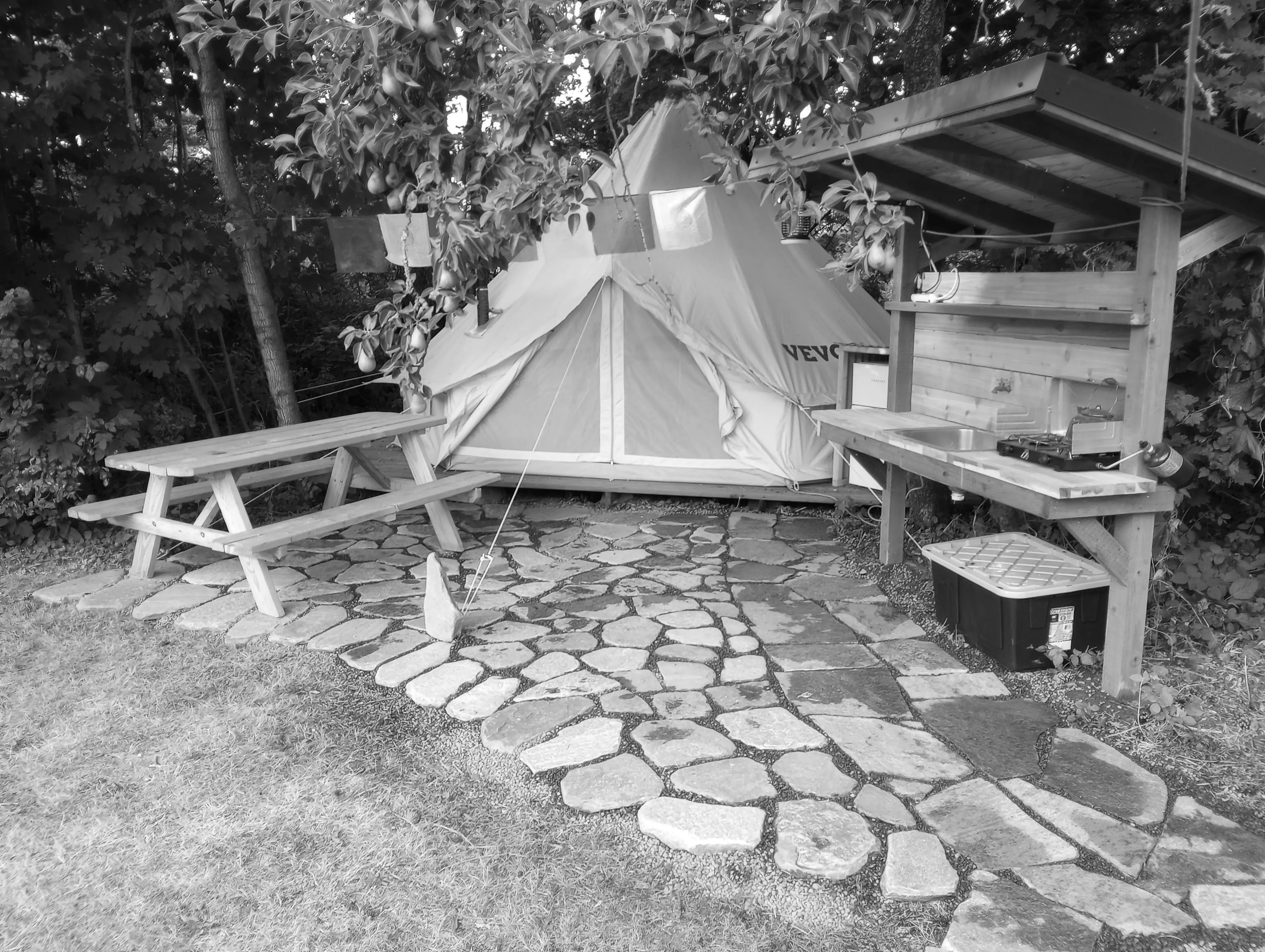 Best Ridgefield Campgrounds