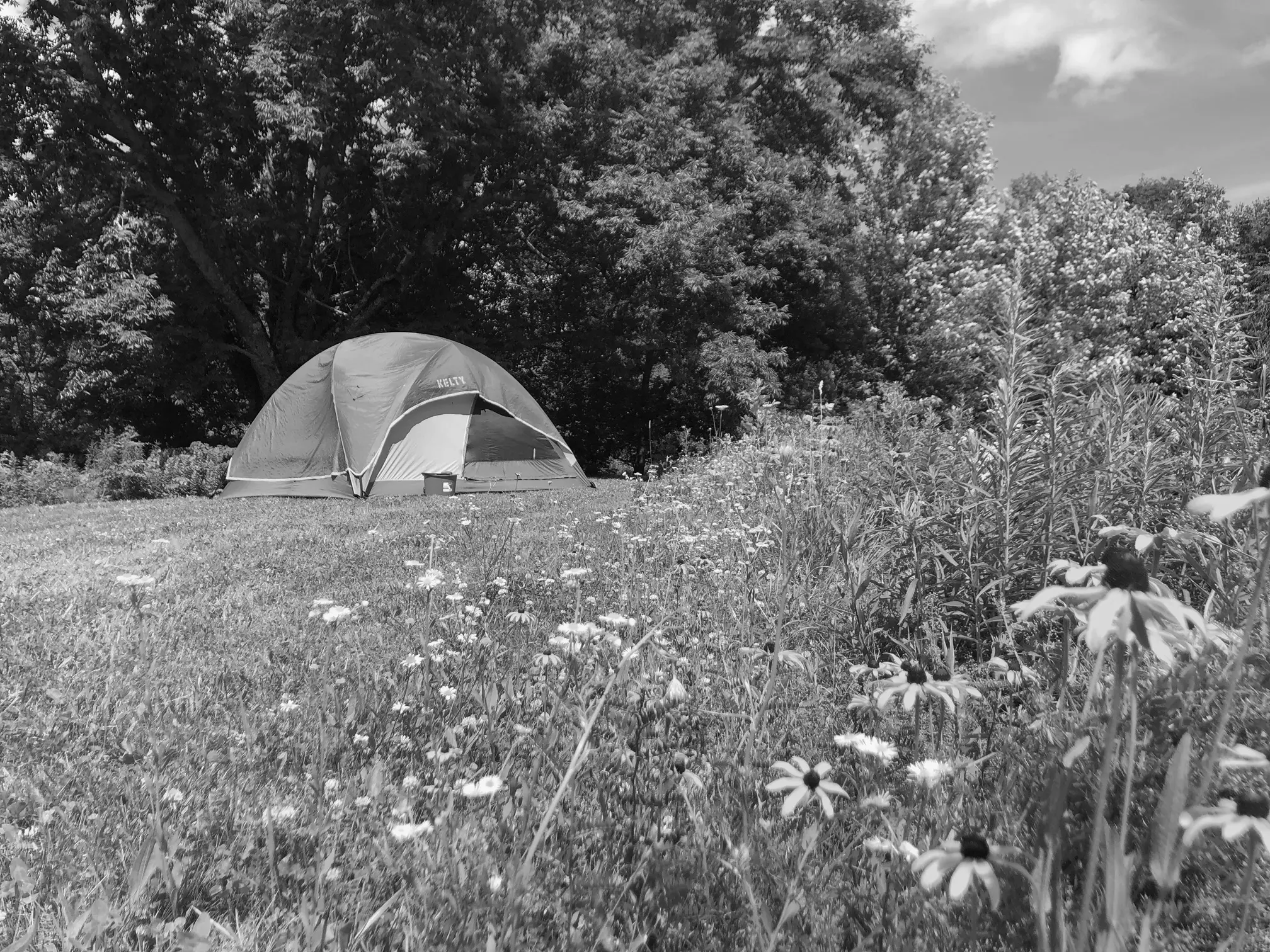 Best Rockland Campgrounds