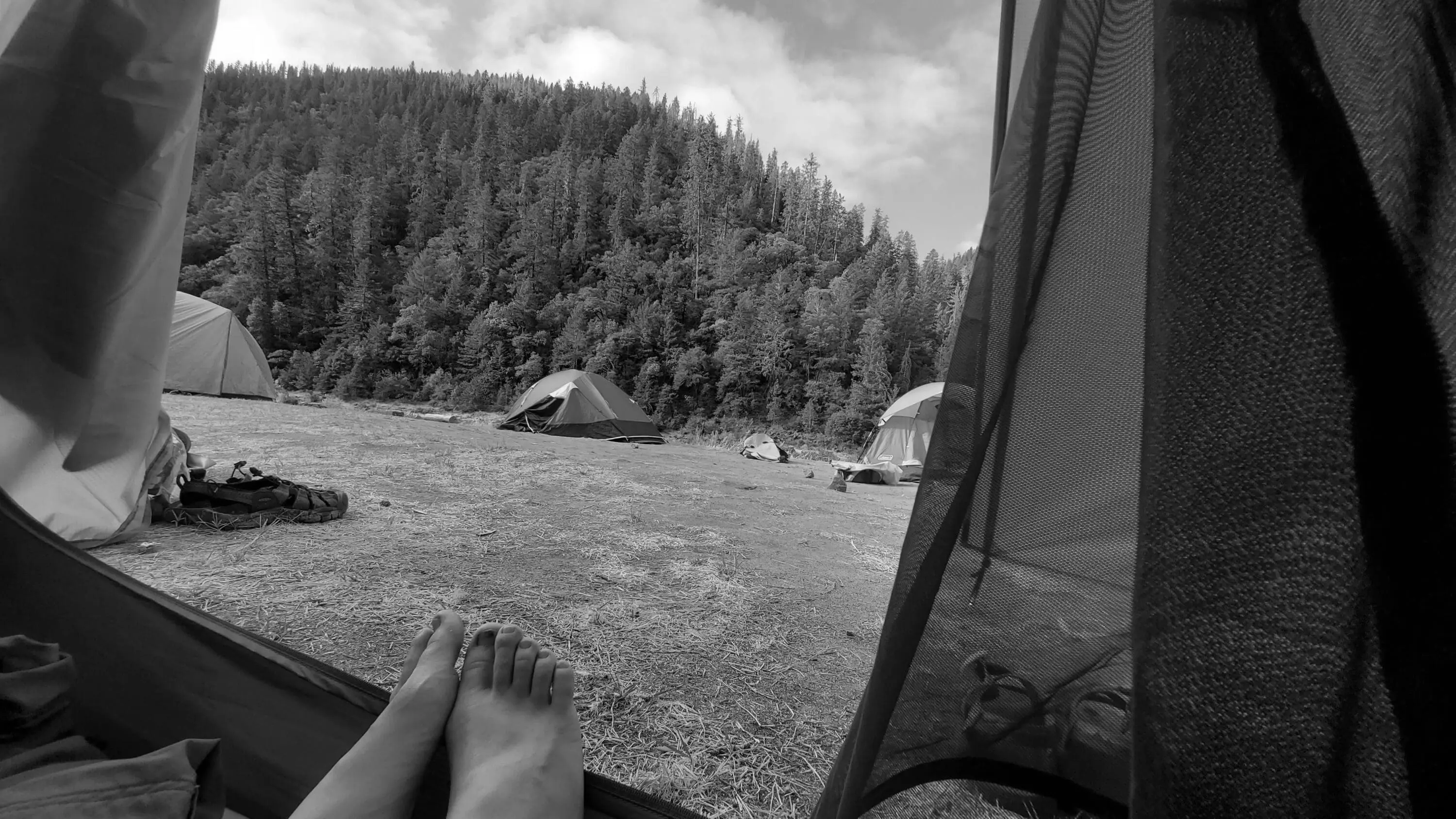 Best Rogue River Campgrounds