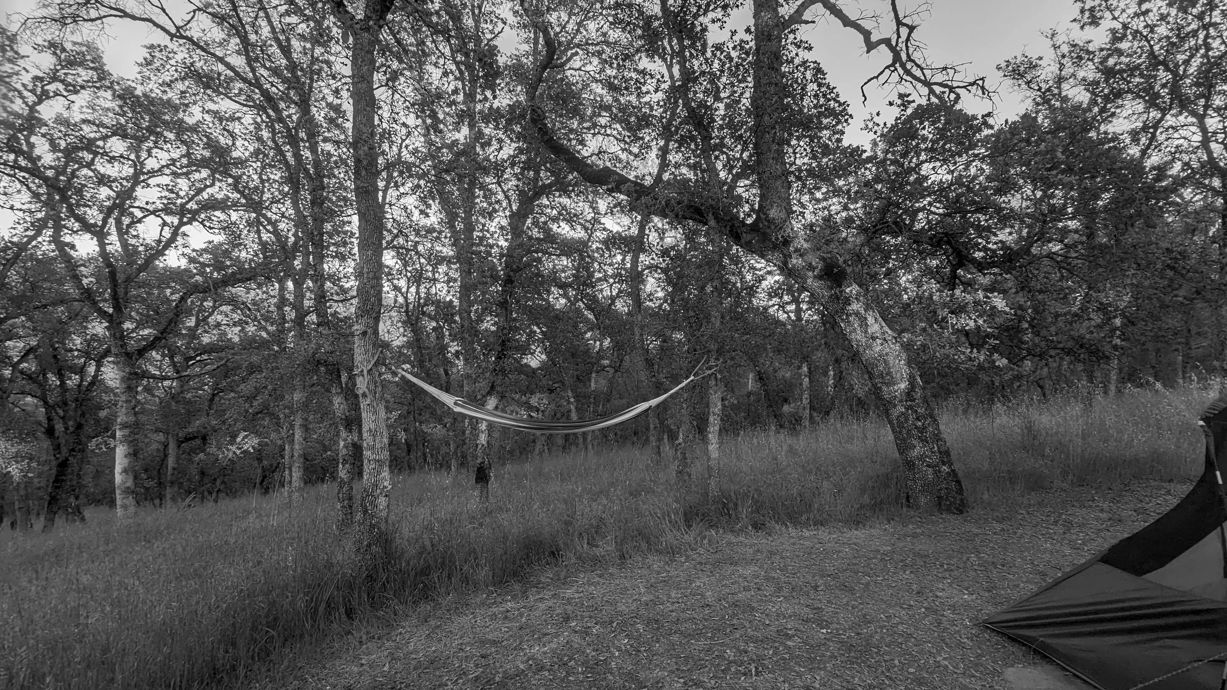 Best Roseville Campgrounds