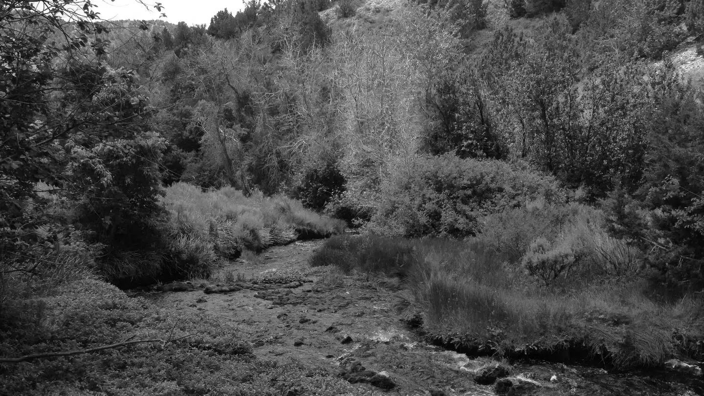 Best Rush Valley Campgrounds