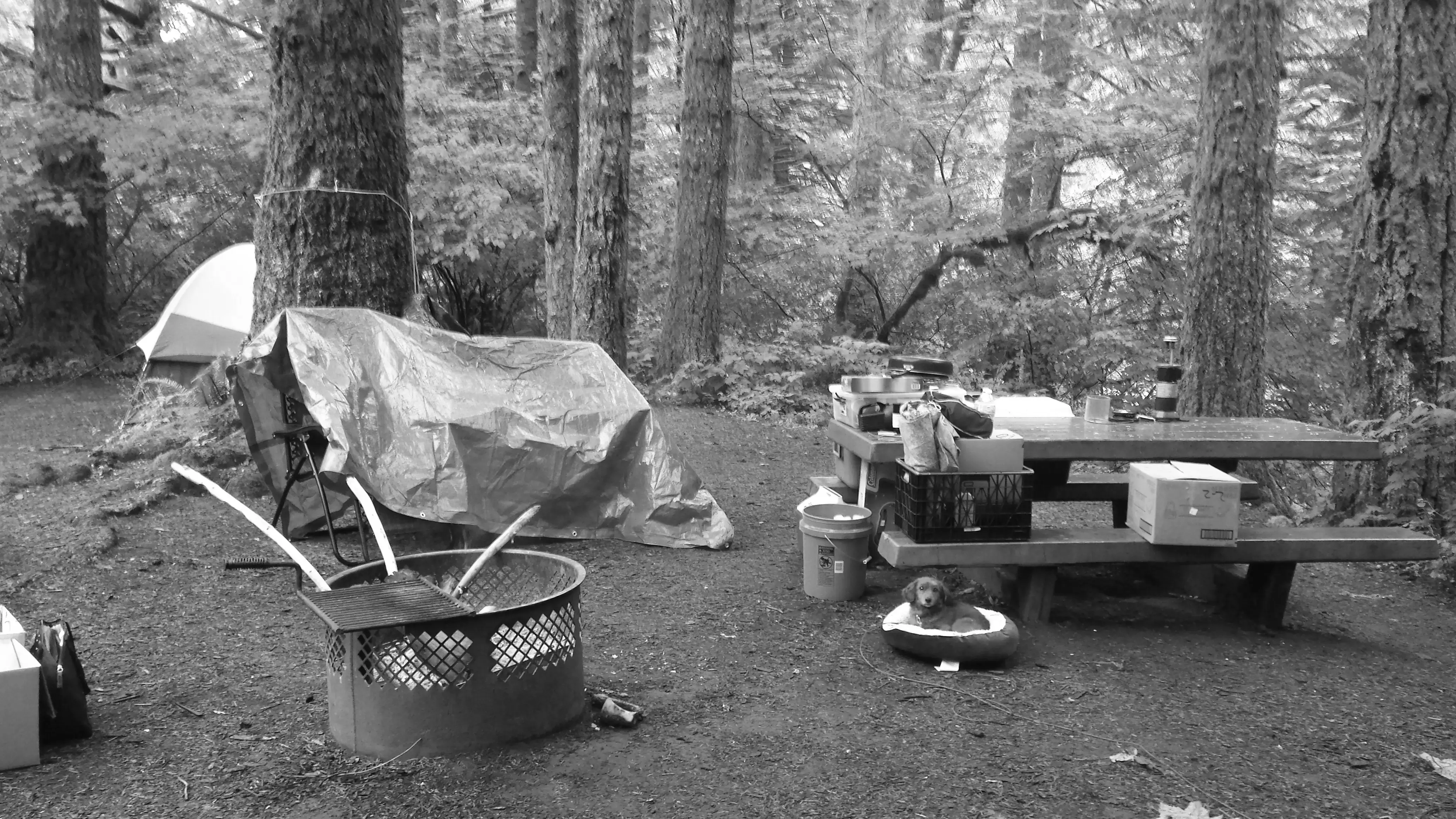 Best Scotts Mills Campgrounds