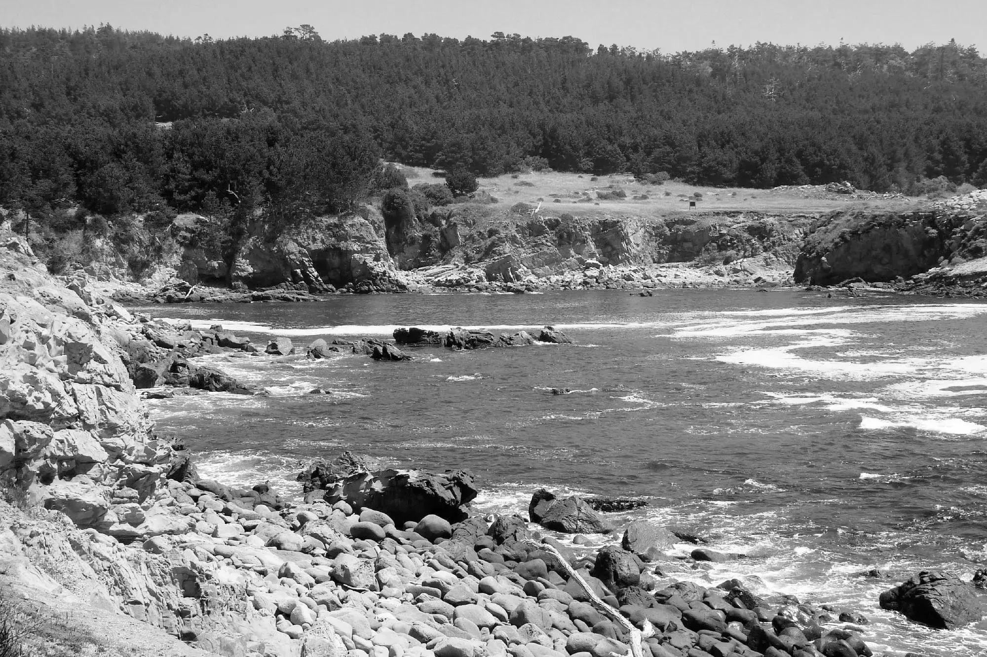 Best Sea Ranch Campgrounds