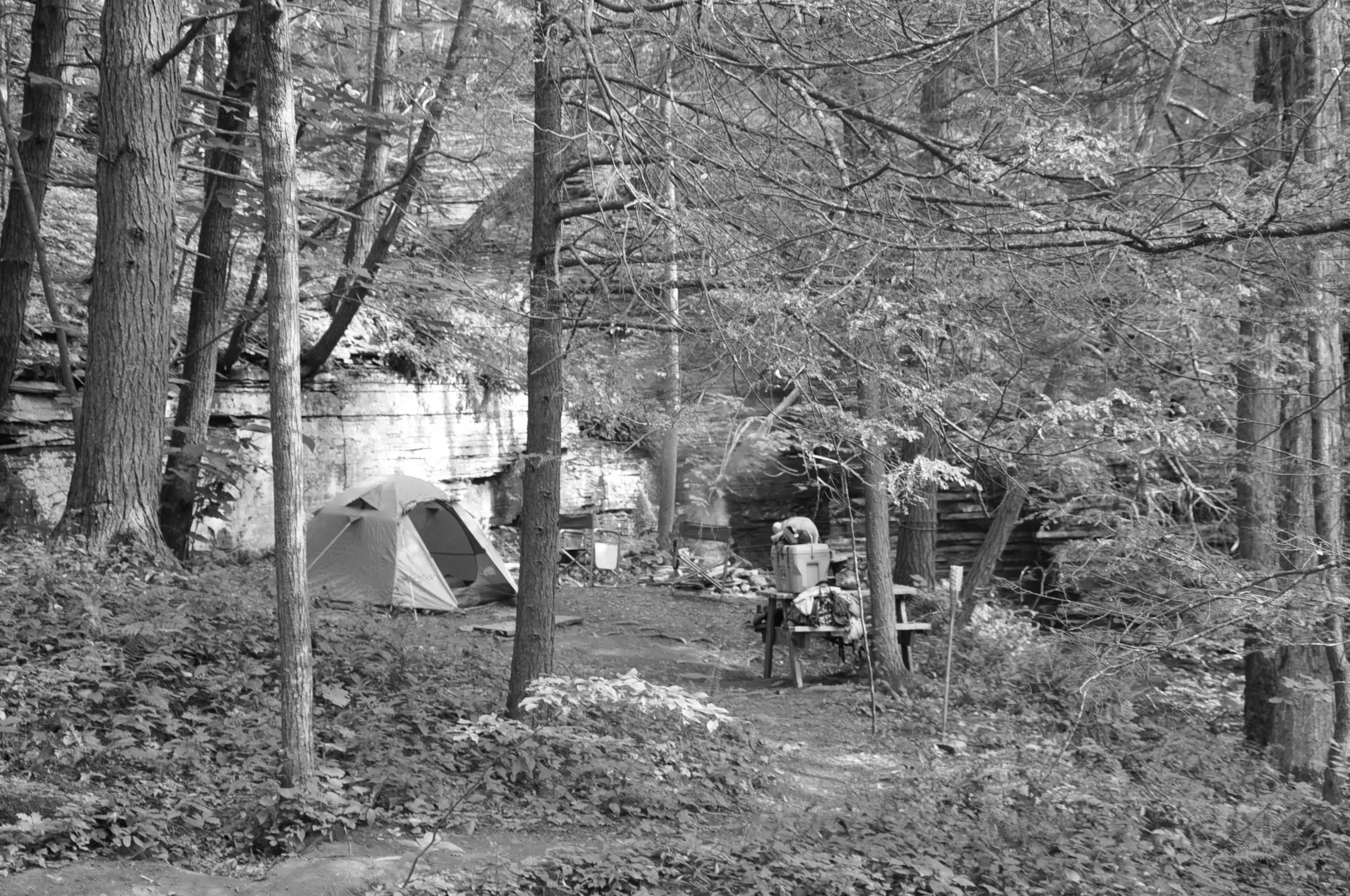 Best Skaneateles Campgrounds