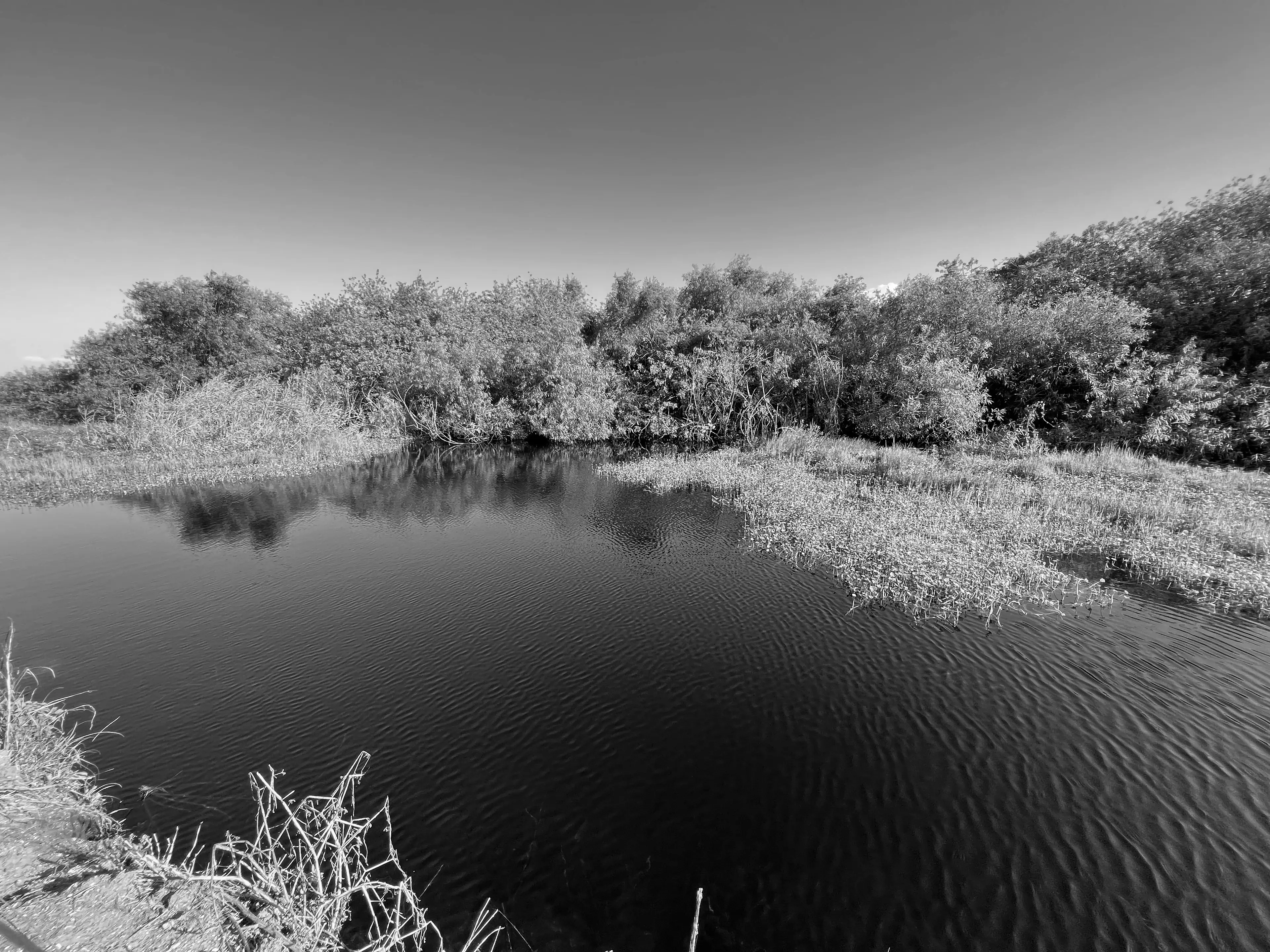 Best Southwest Florida Campgrounds