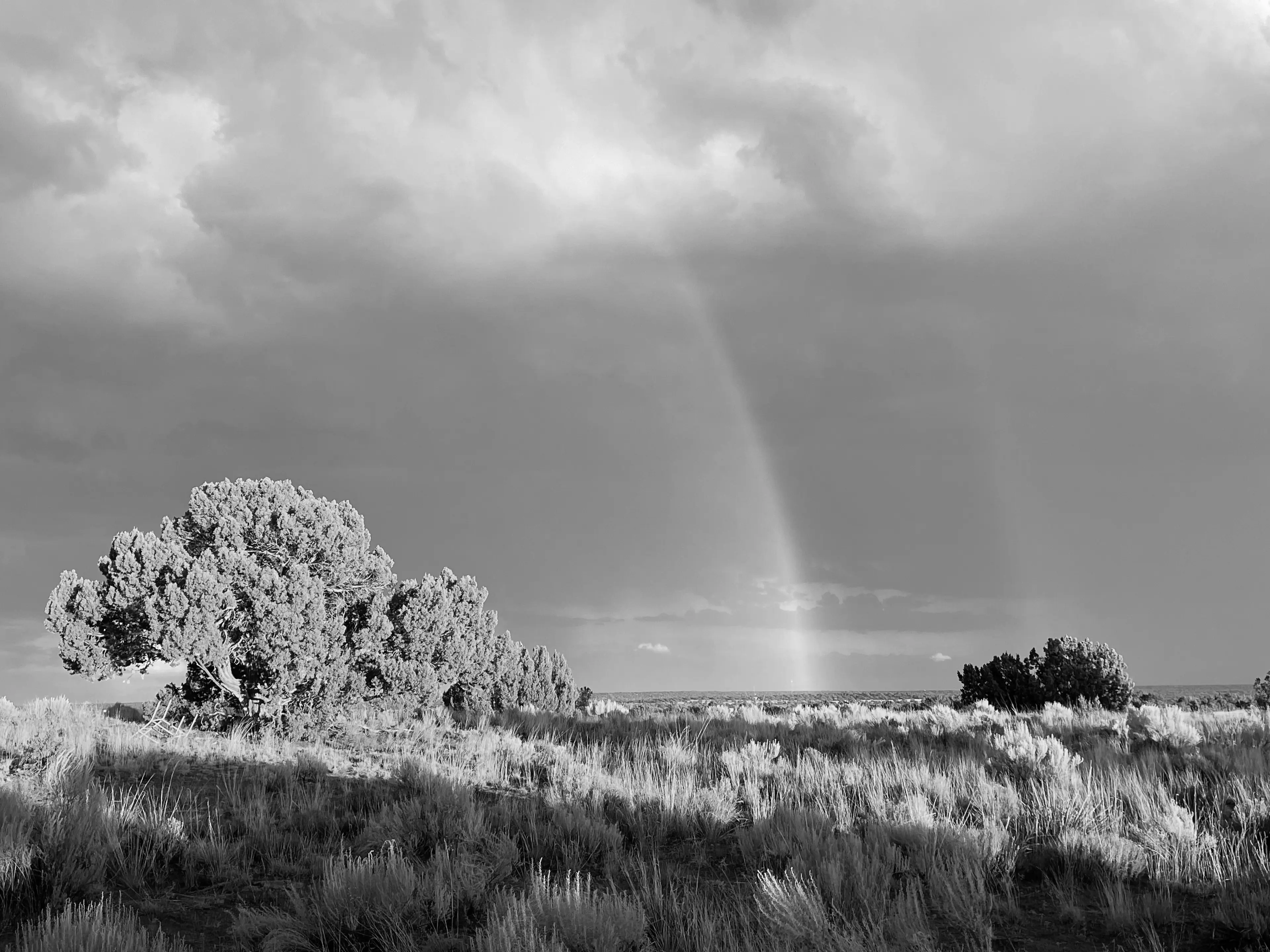 Best Springerville Campgrounds