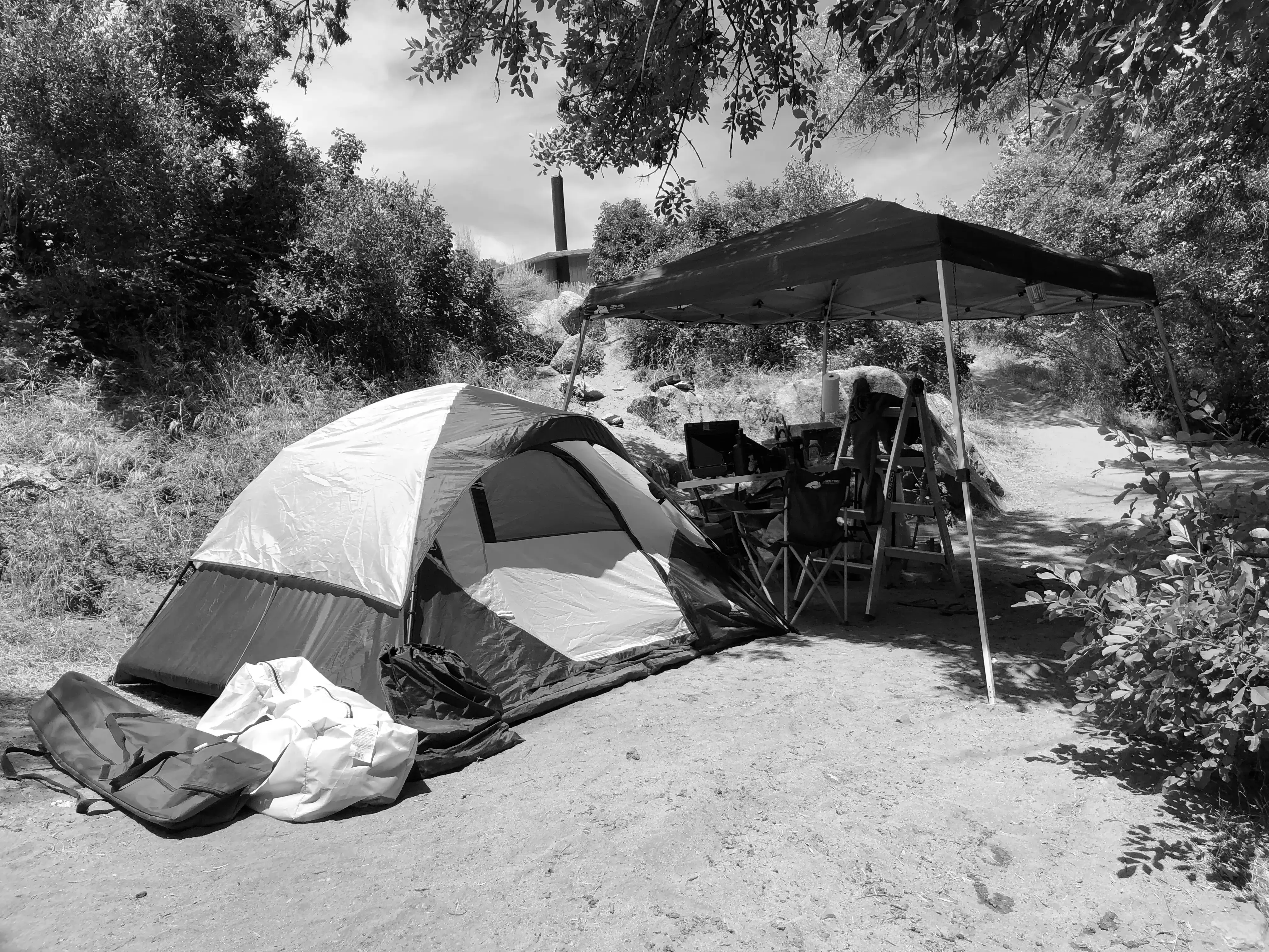 Best Springville Campgrounds