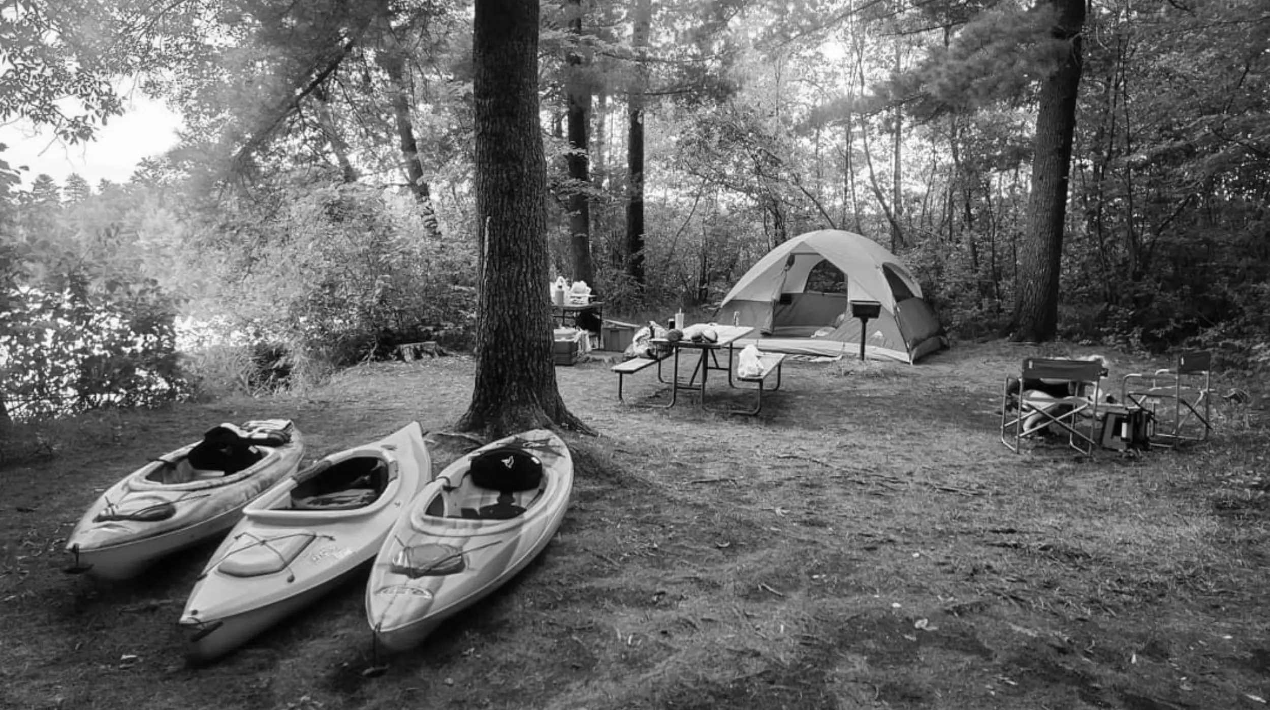 Best Stevens Point Campgrounds