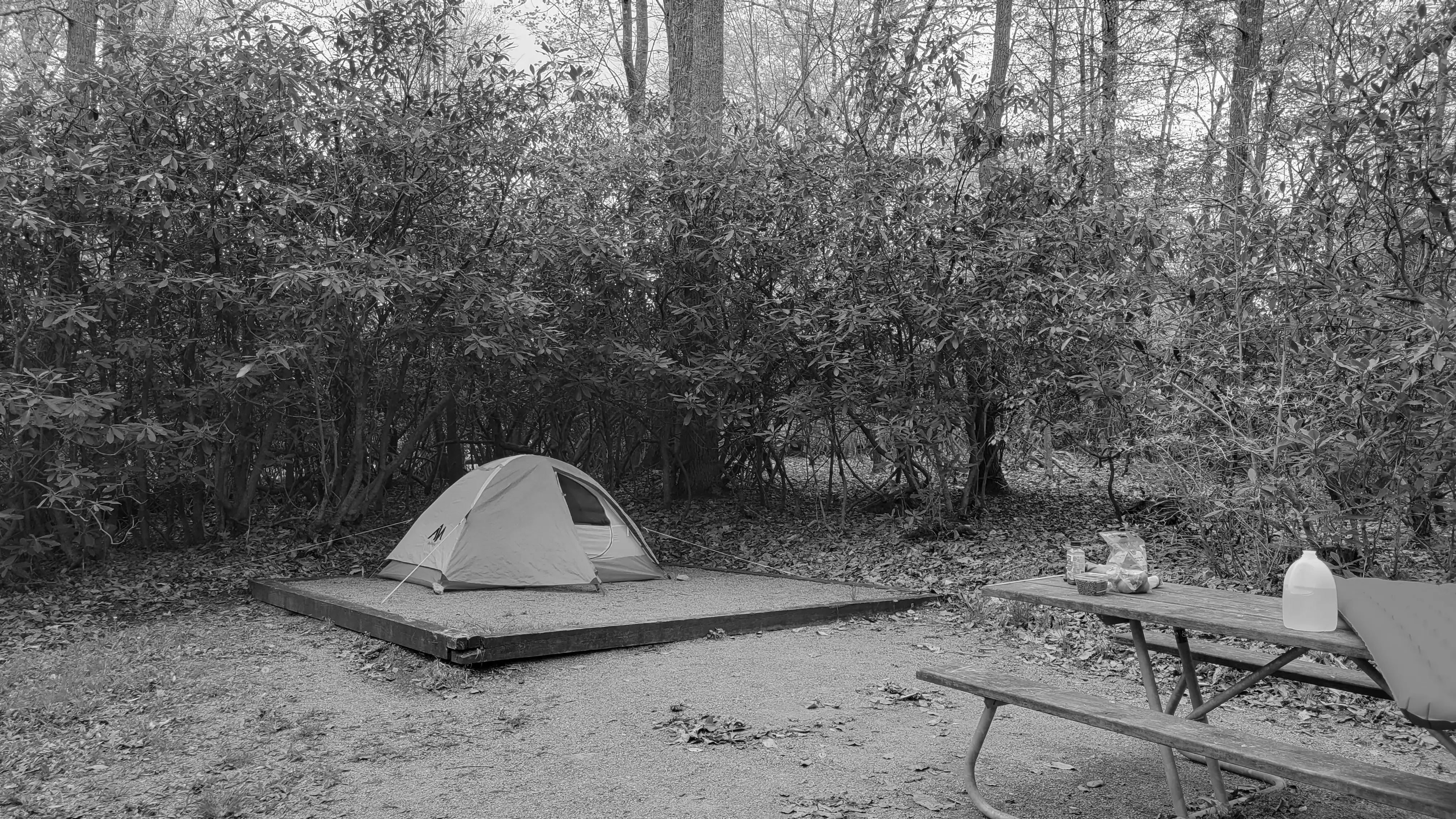 Best Stuart Campgrounds