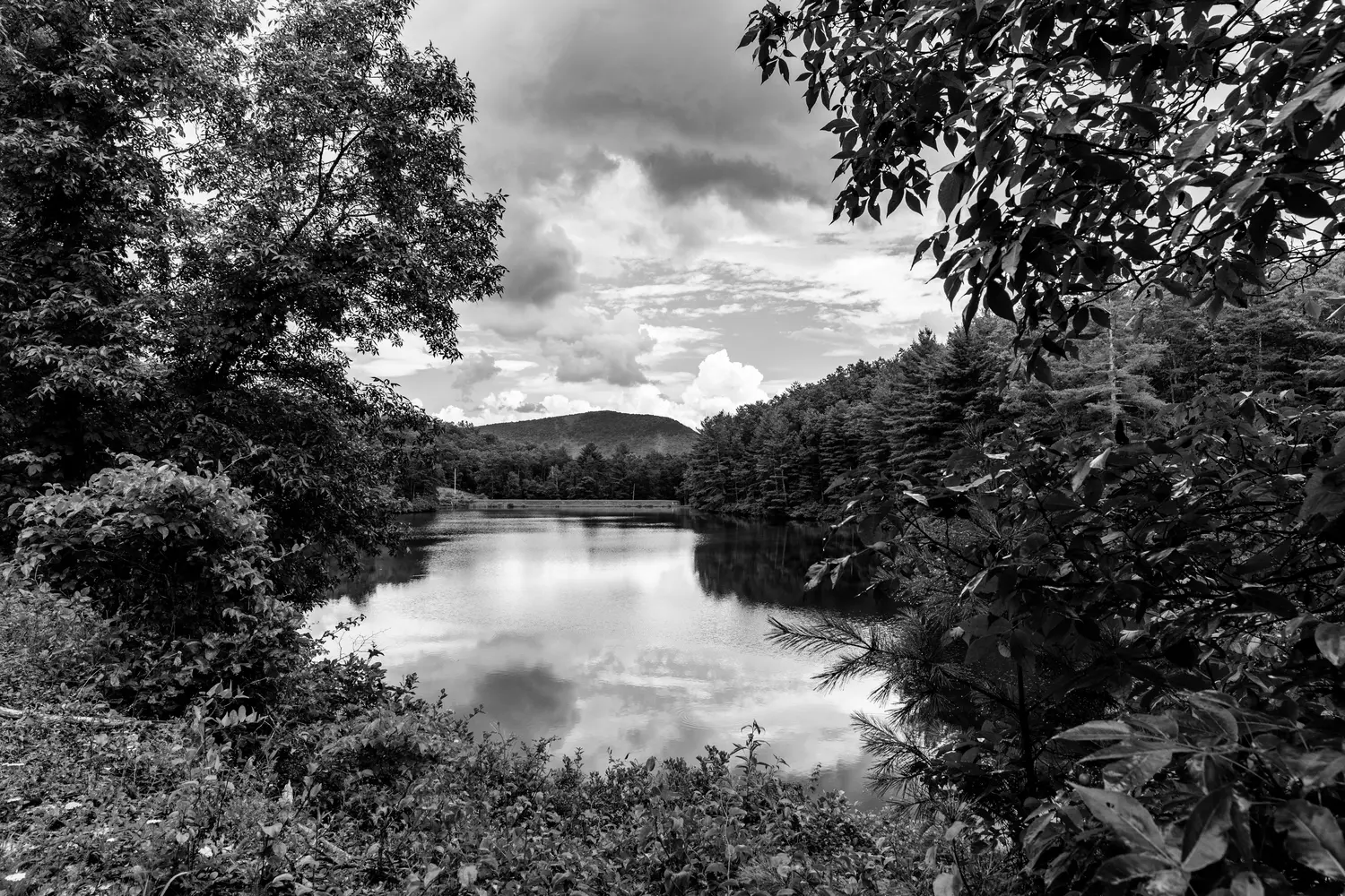 Best Sulphur Springs Campgrounds