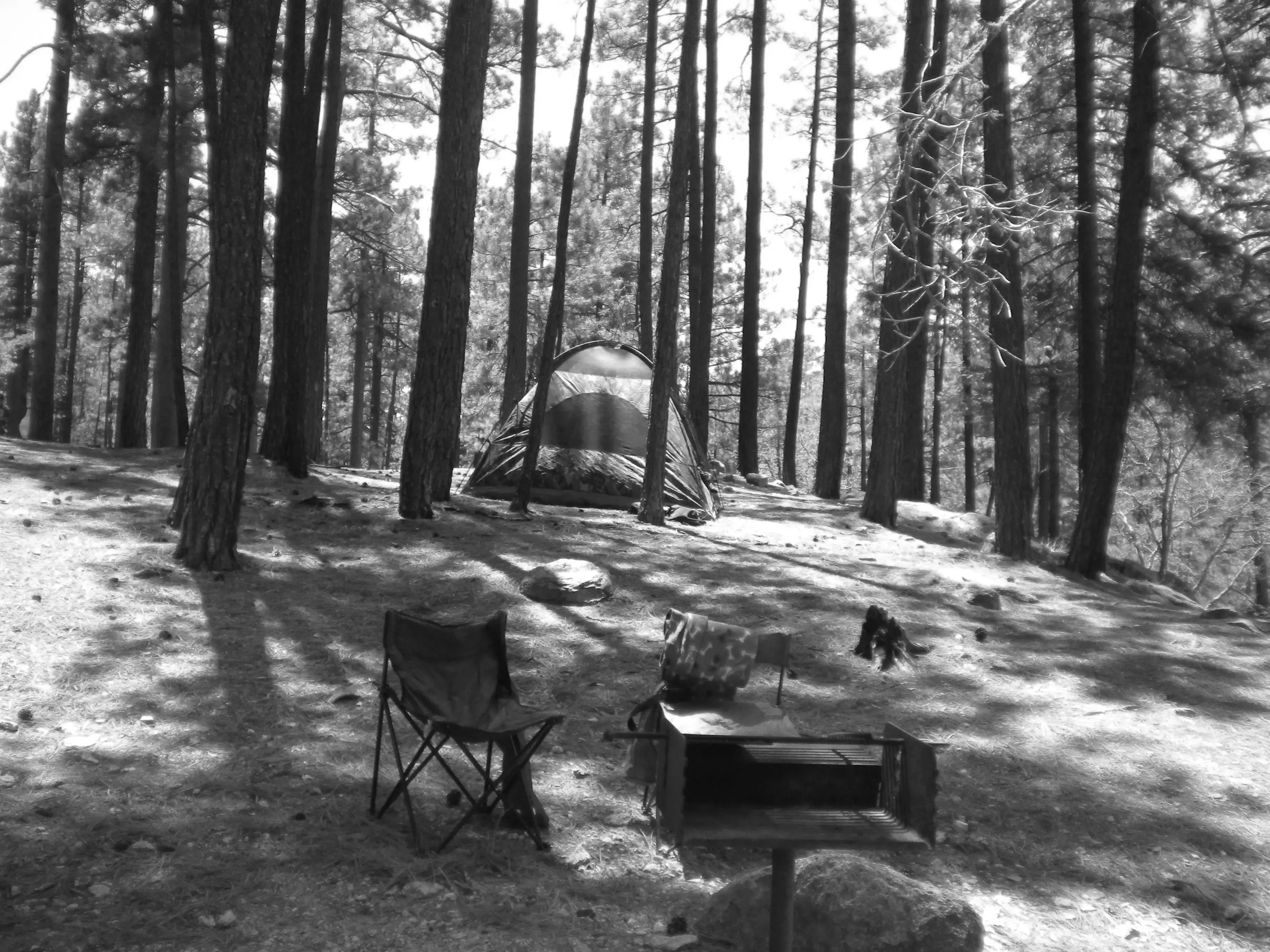 Best Summerhaven Campgrounds