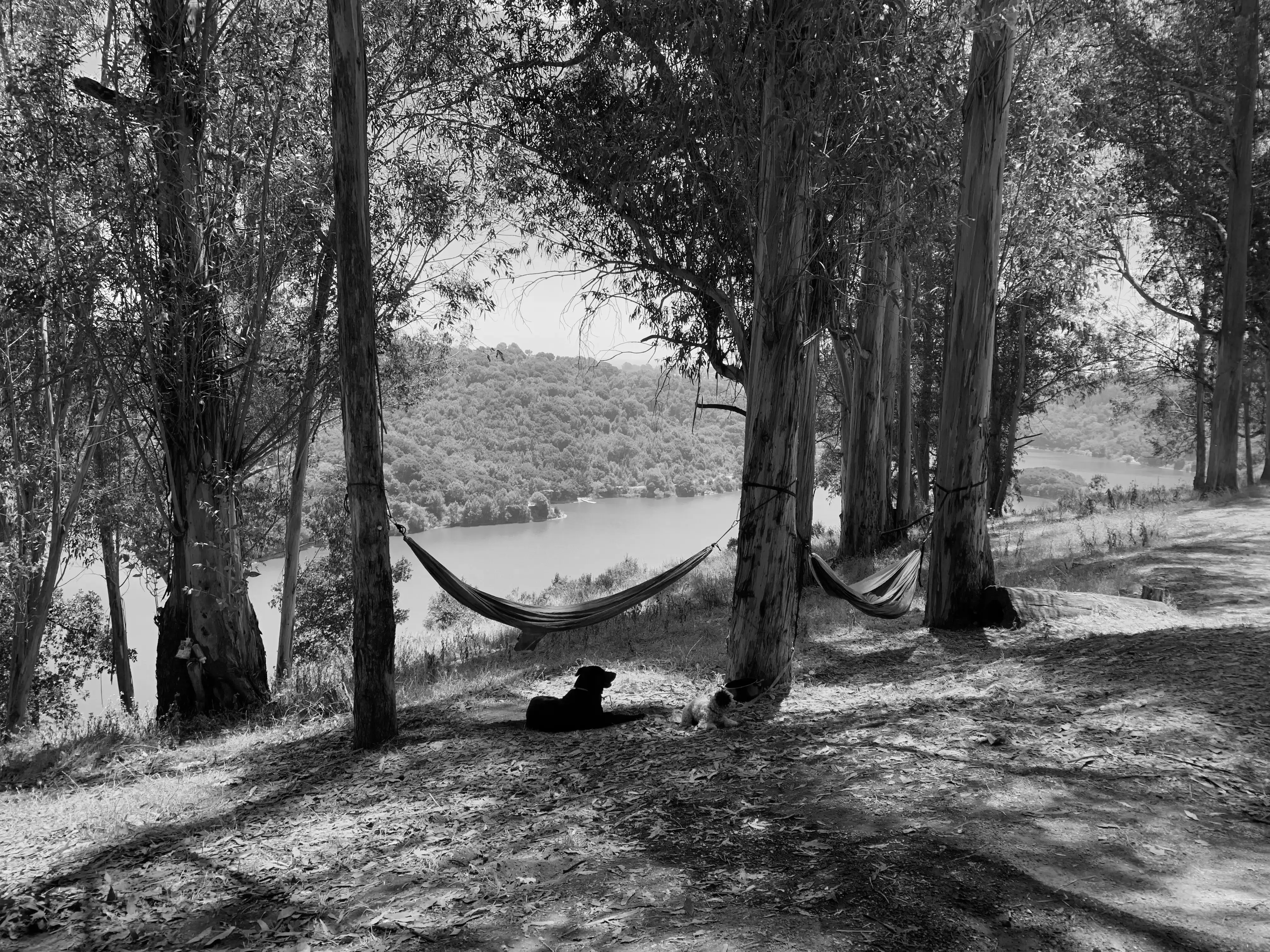 Best Sunol Campgrounds