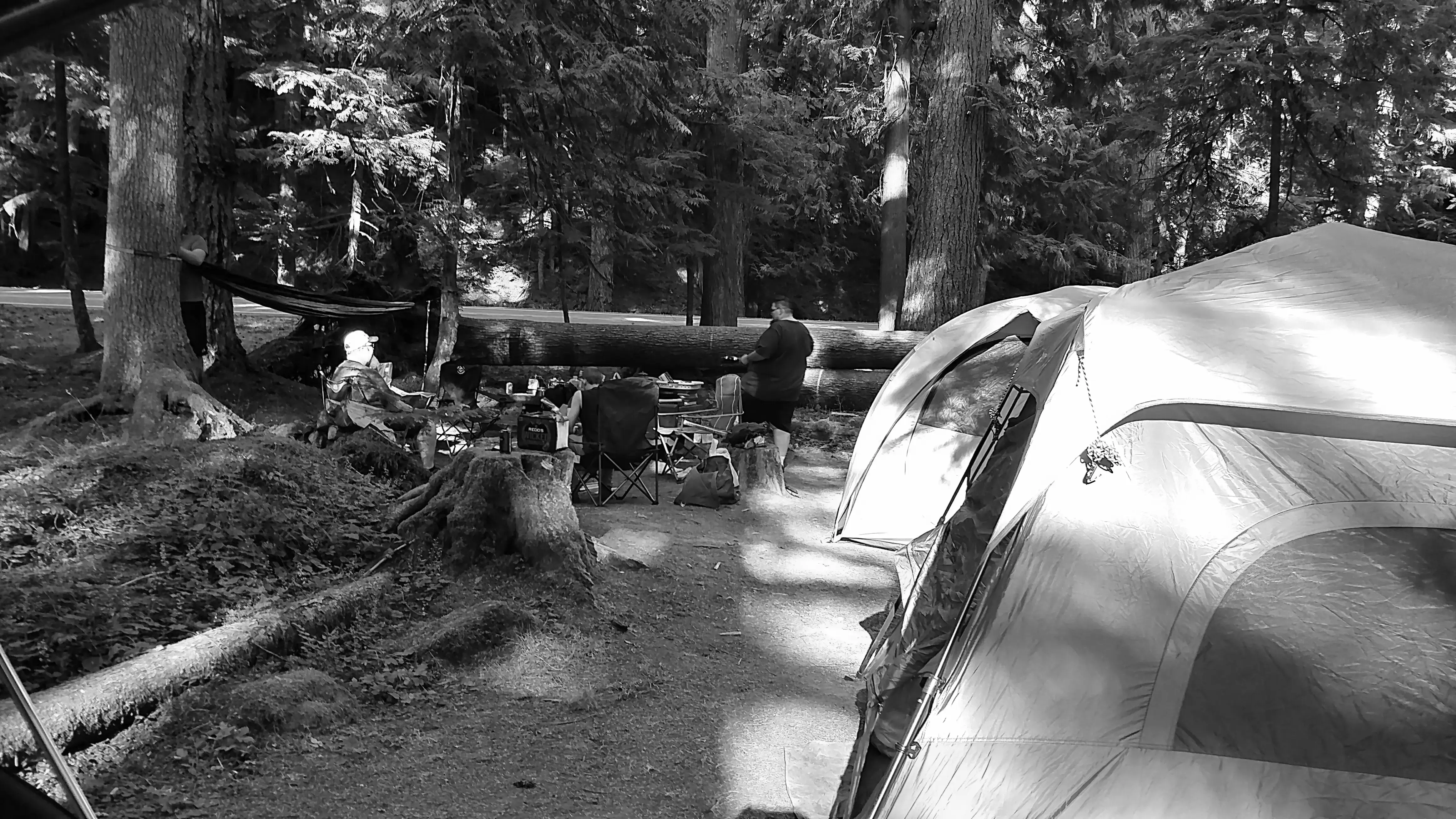 Best The Dalles Campgrounds