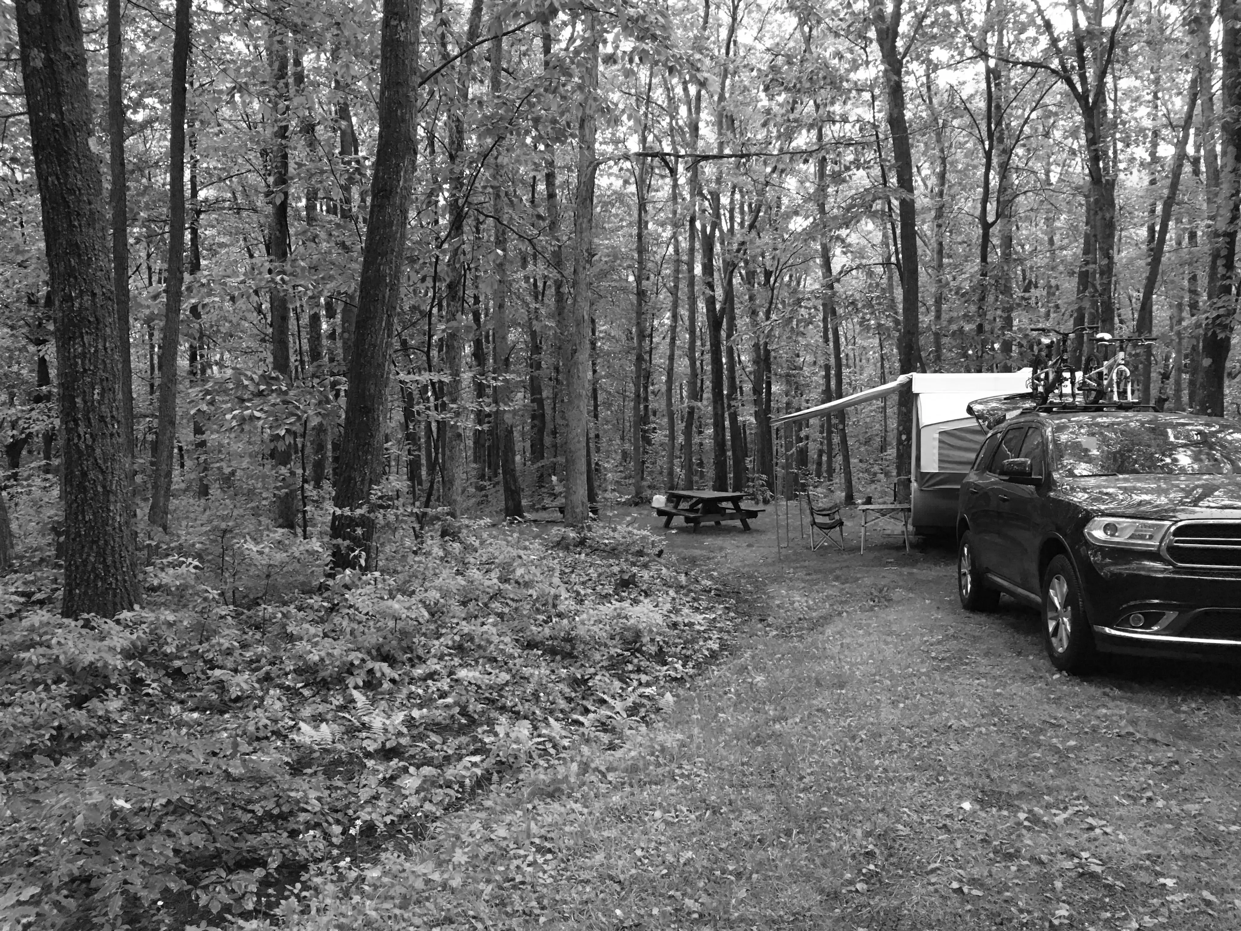 Best Tracy Campgrounds