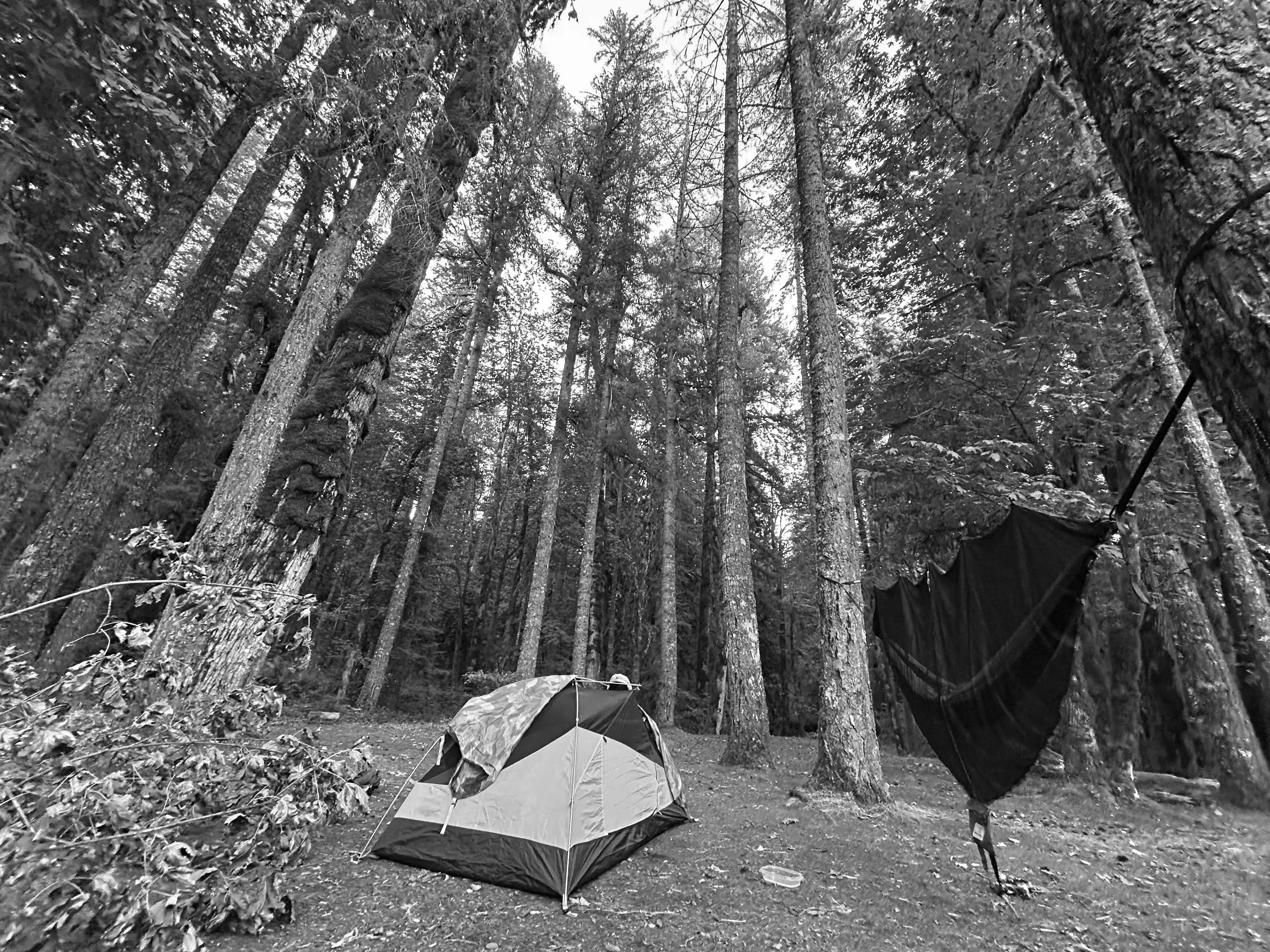 Best Troutdale Campgrounds
