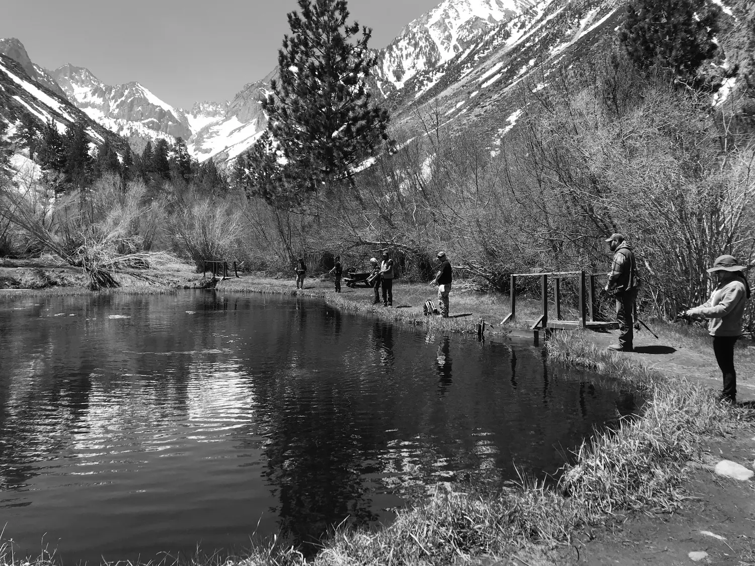 Best Turlock Campgrounds