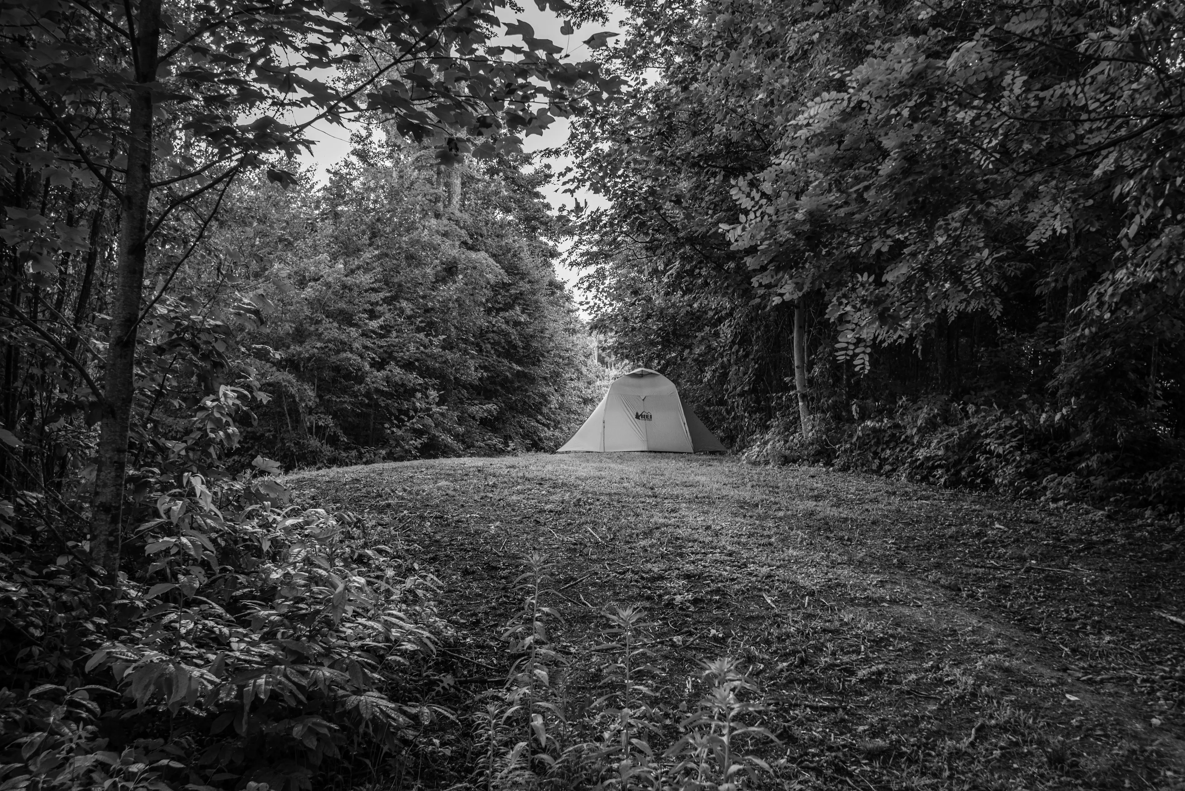 Best Upper Bear Creek Campgrounds