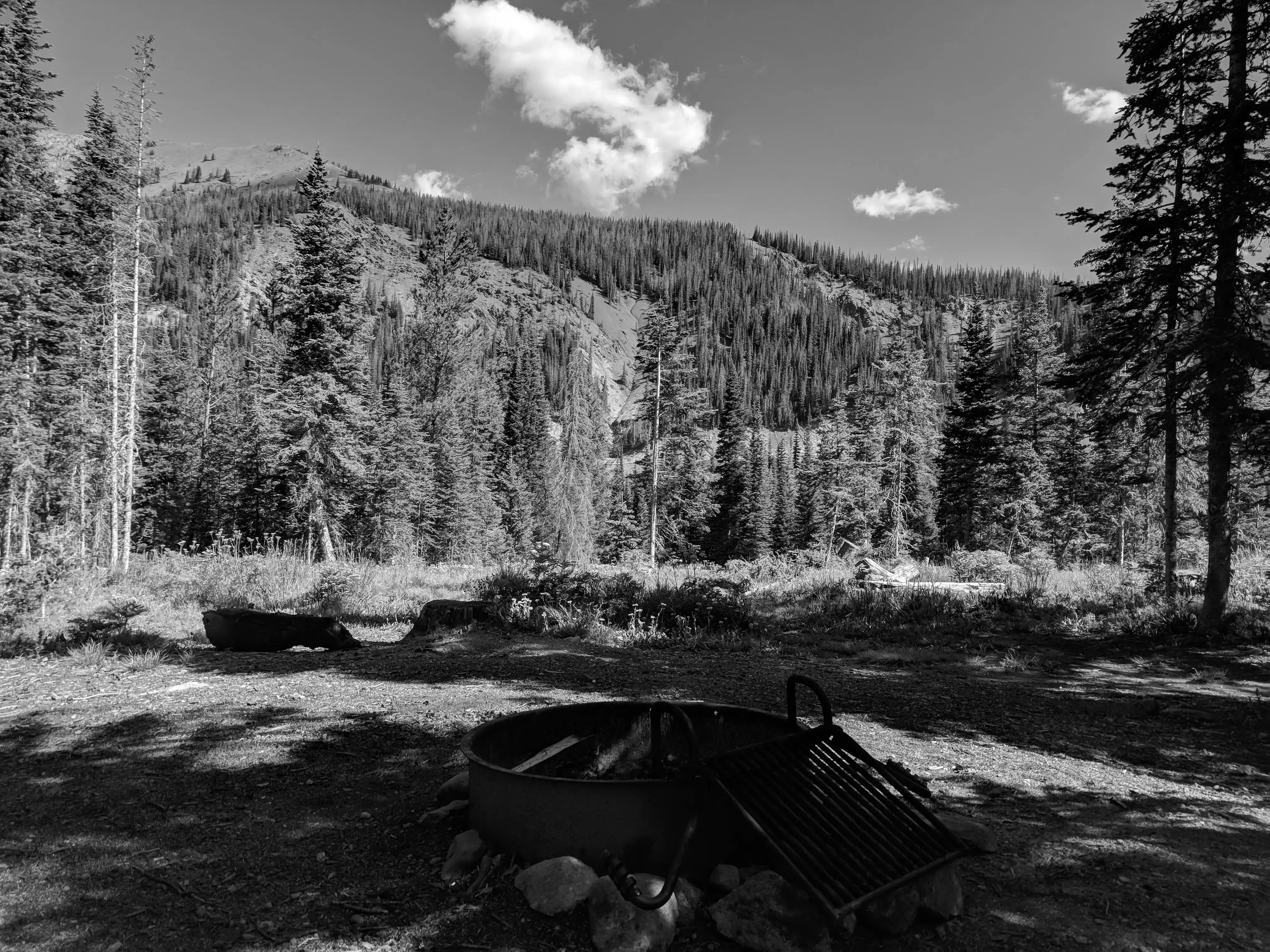 Best Walden Campgrounds